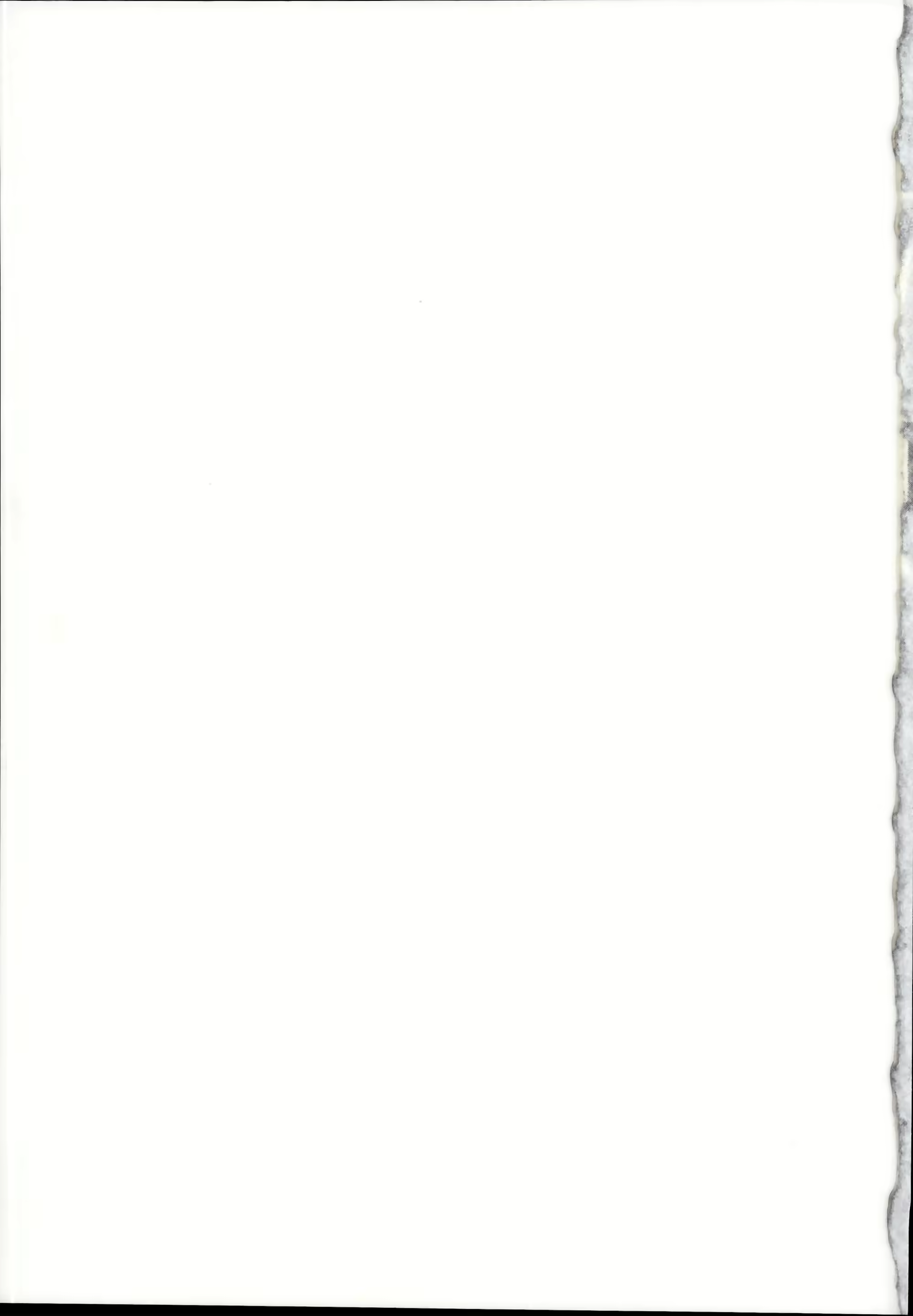 Content 1341190 - 27 페이지