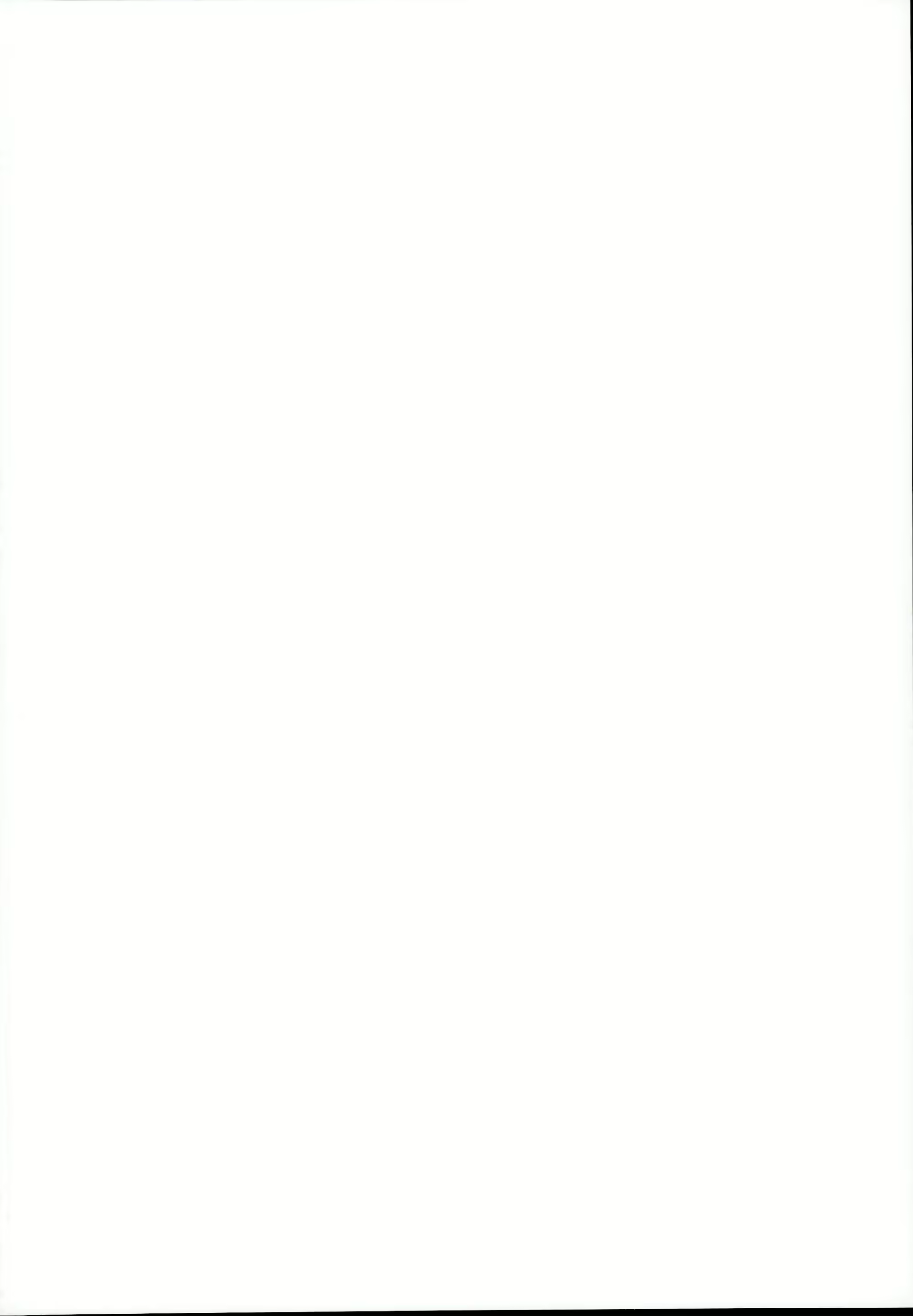 Content 1342001 - 2 페이지