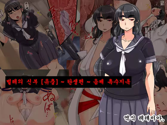 Content 1342197 - 1 페이지