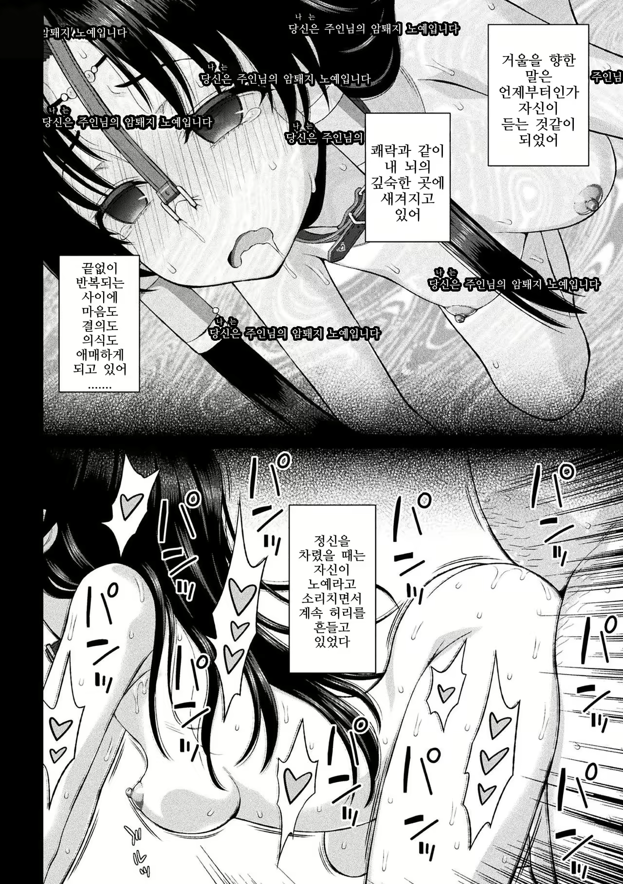 Content 1351346 - 122 페이지