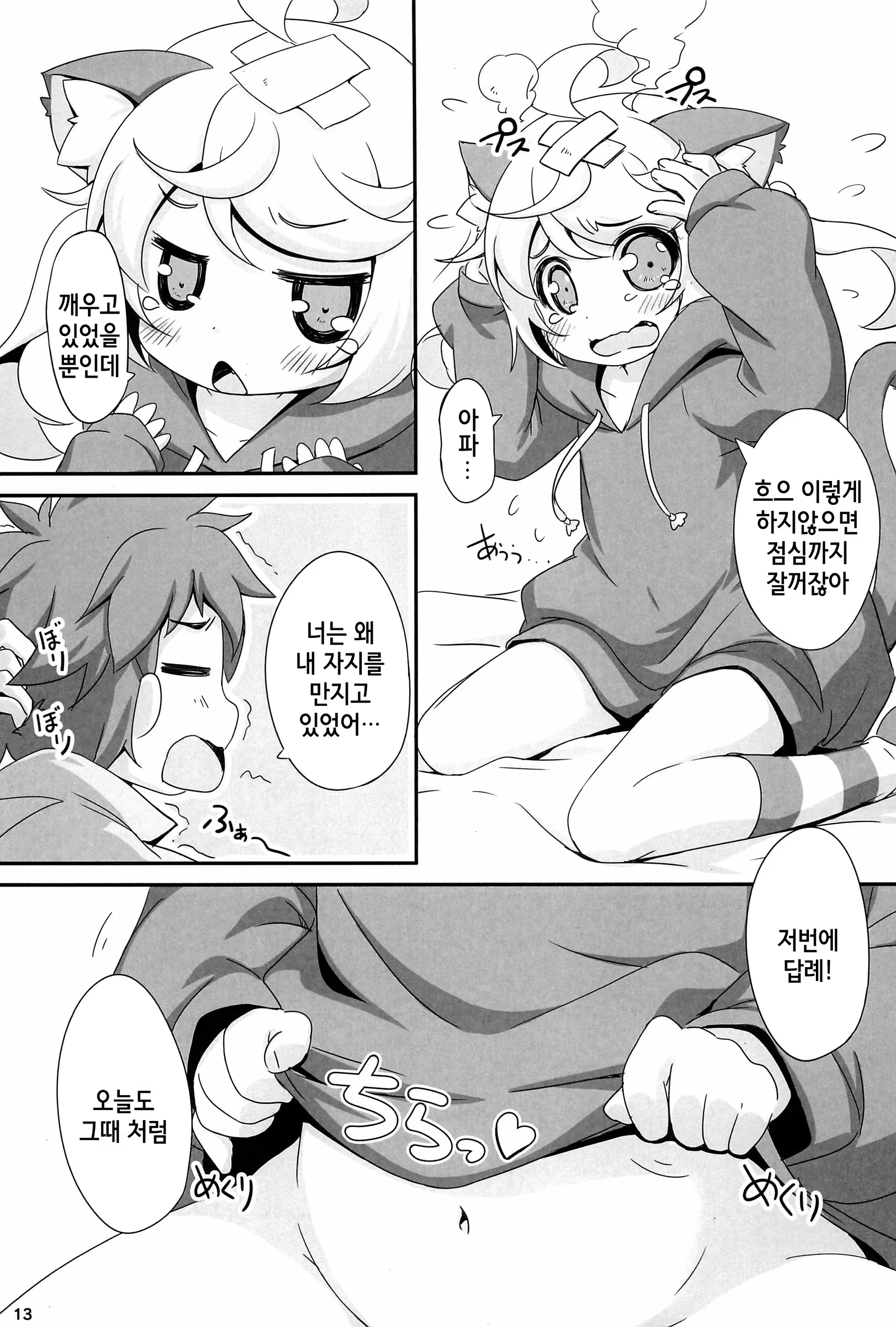 Content 1359045 - 13 페이지