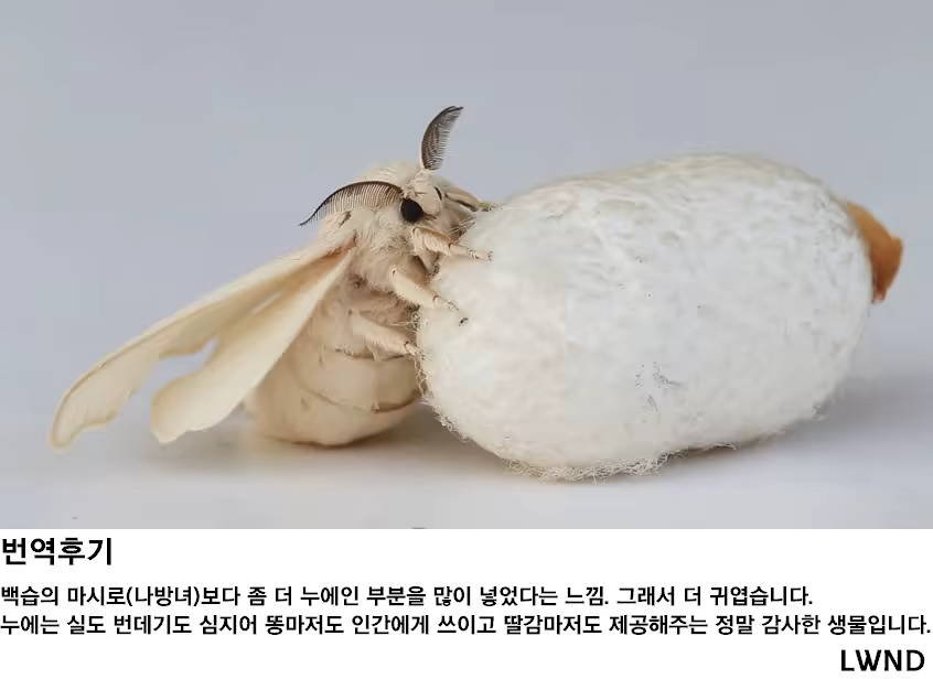 Content 1359391 - 27 페이지