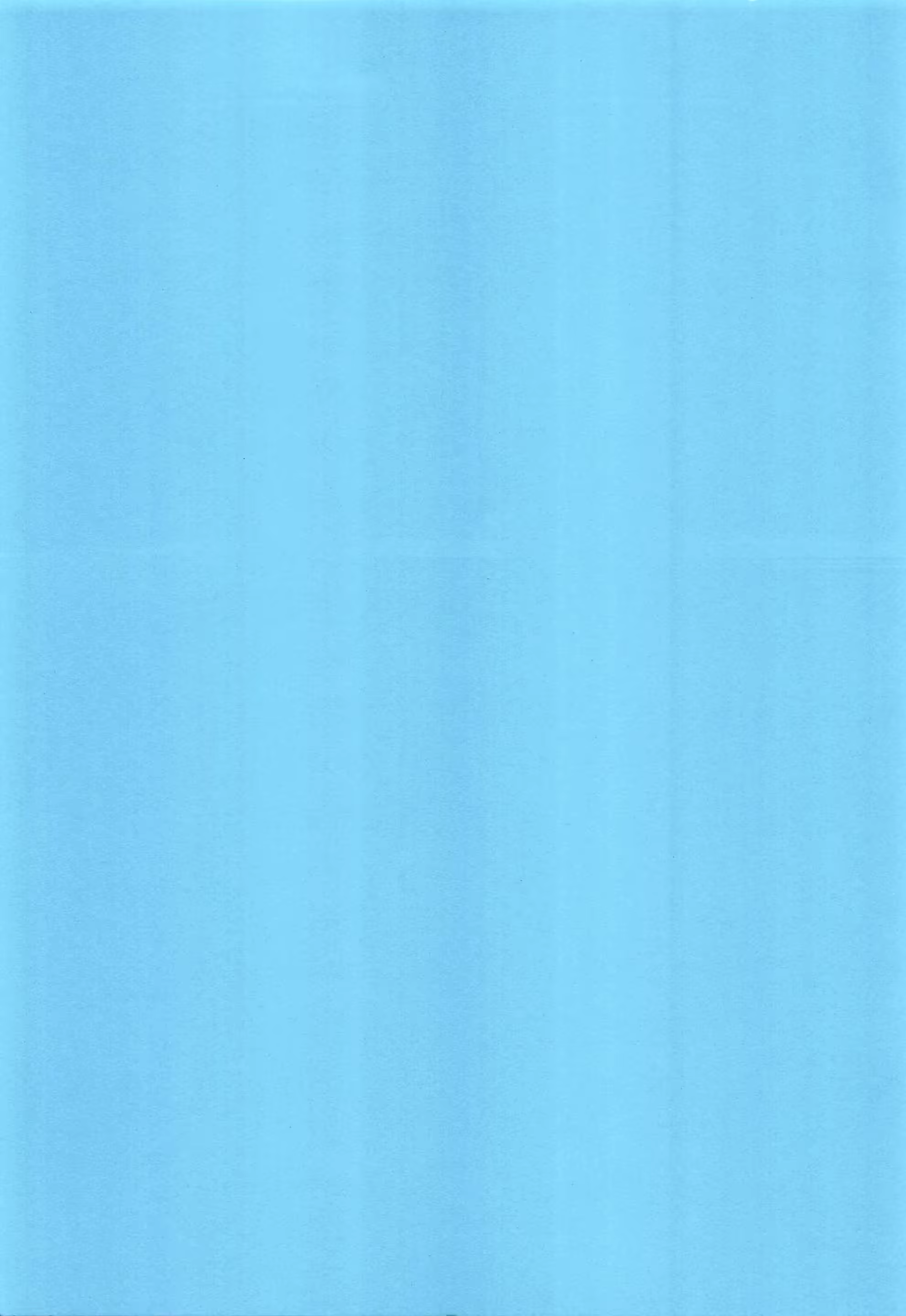 Content 1364509 - 2 페이지