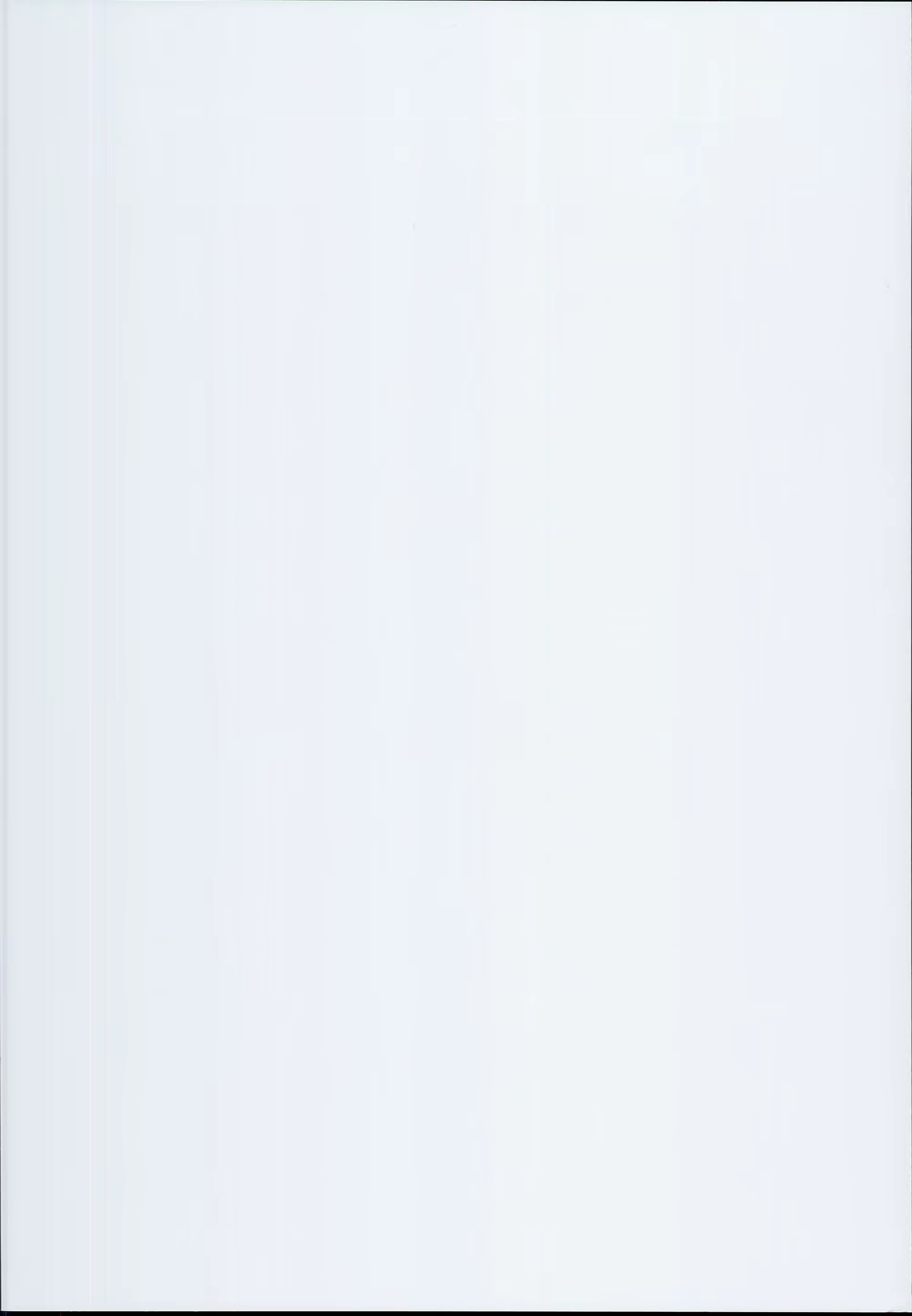 Content 1366995 - 2 페이지