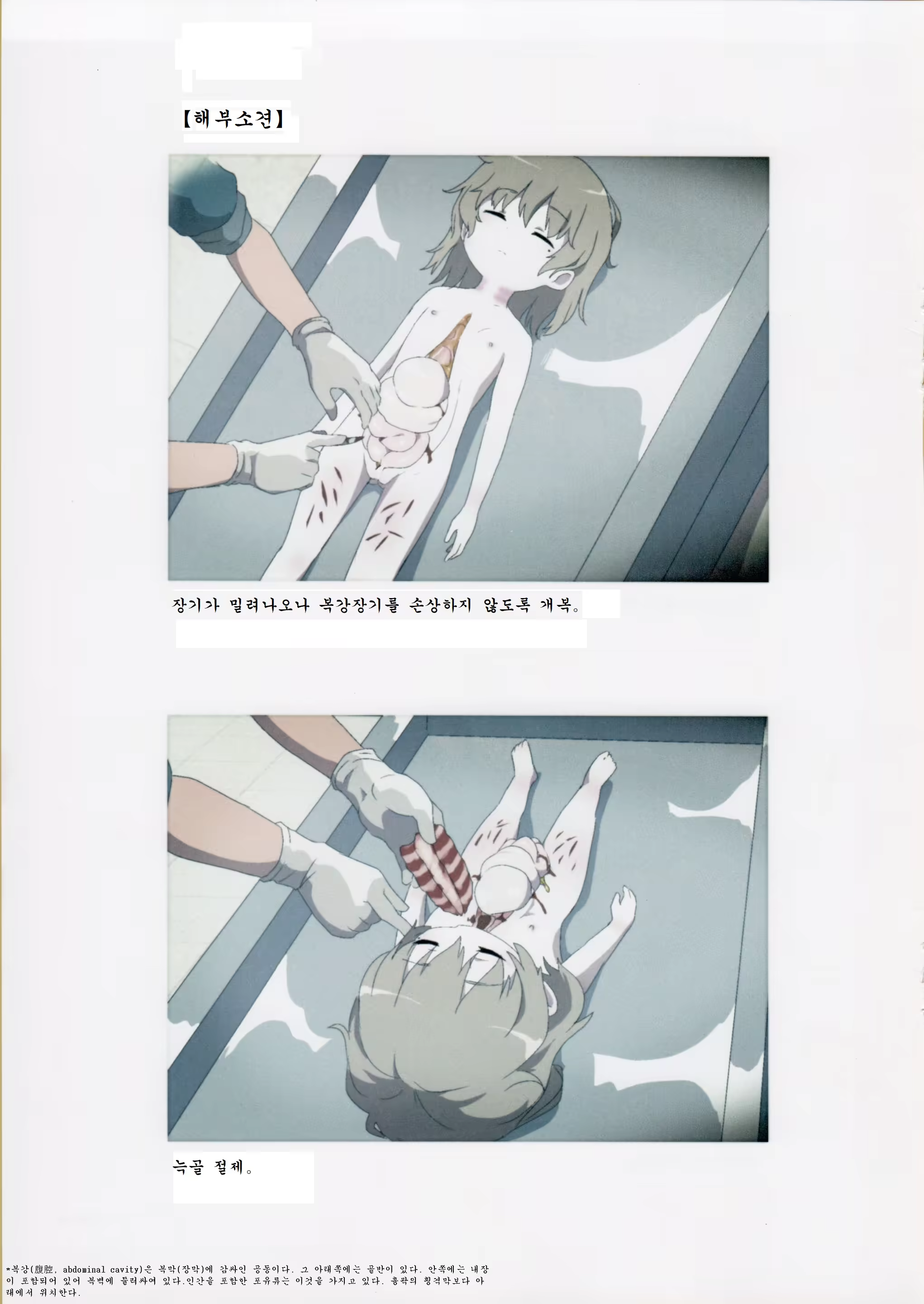 Content 1373520 - 6 페이지