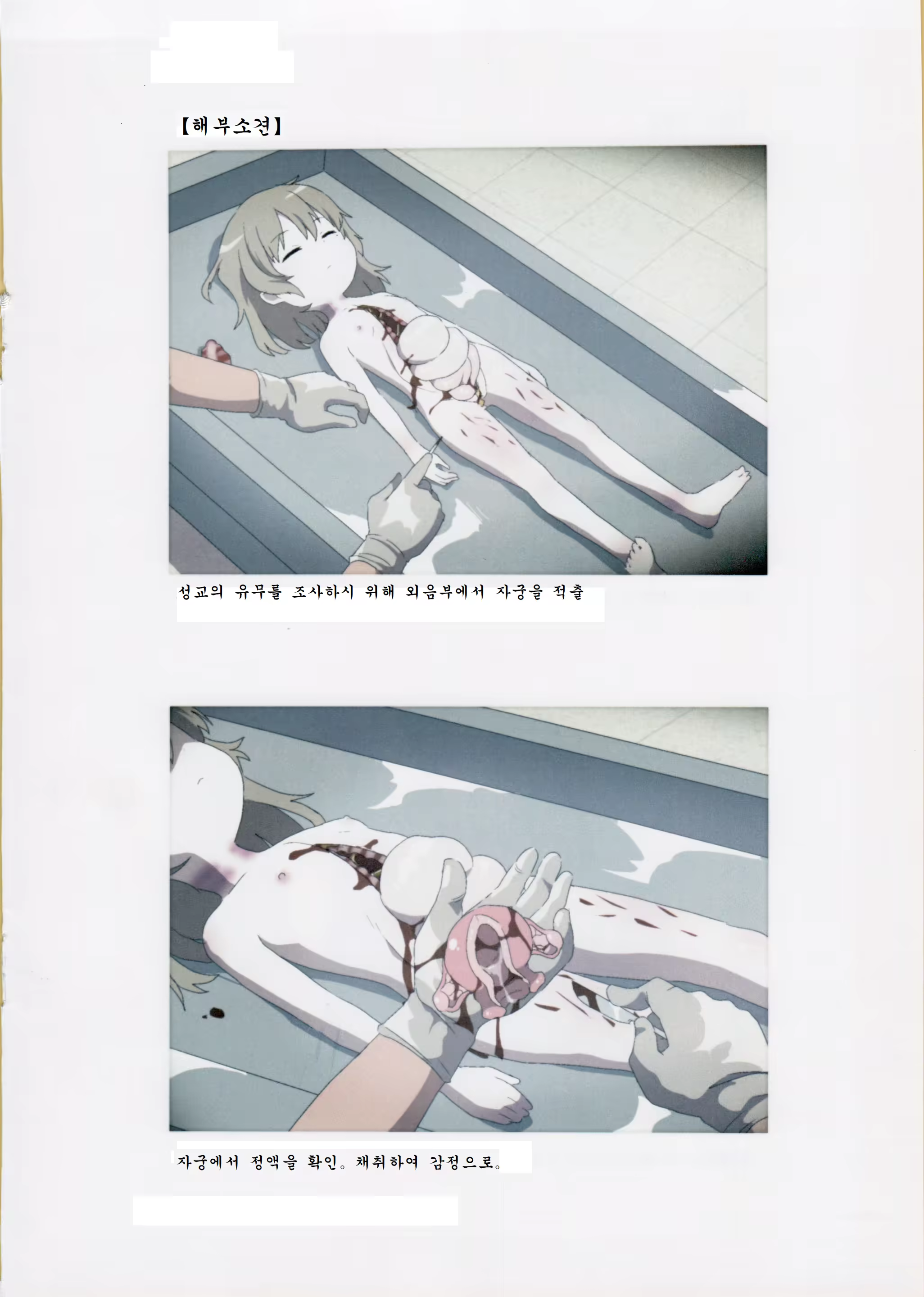 Content 1373520 - 7 페이지