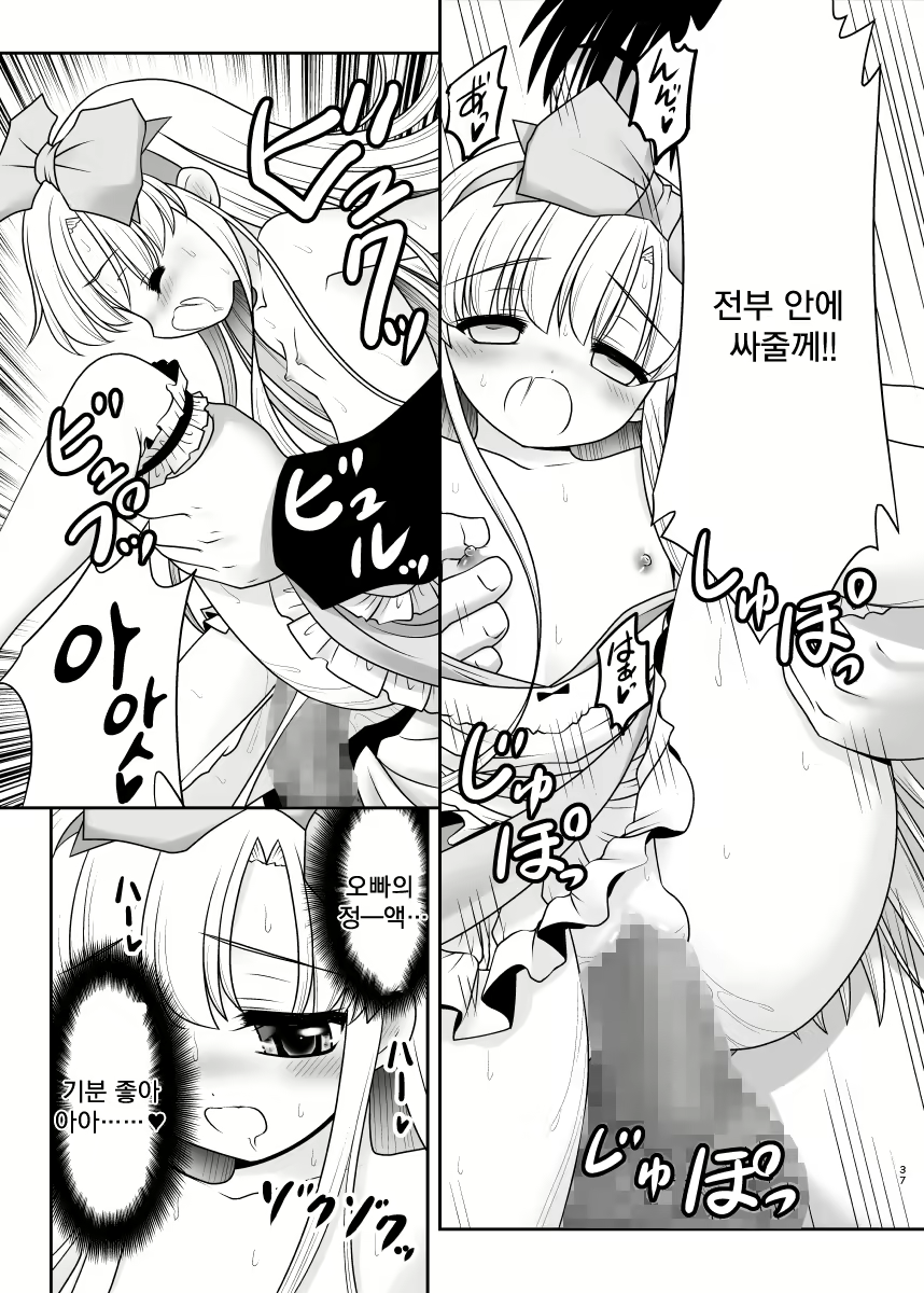 Content 1389580 - 36 페이지