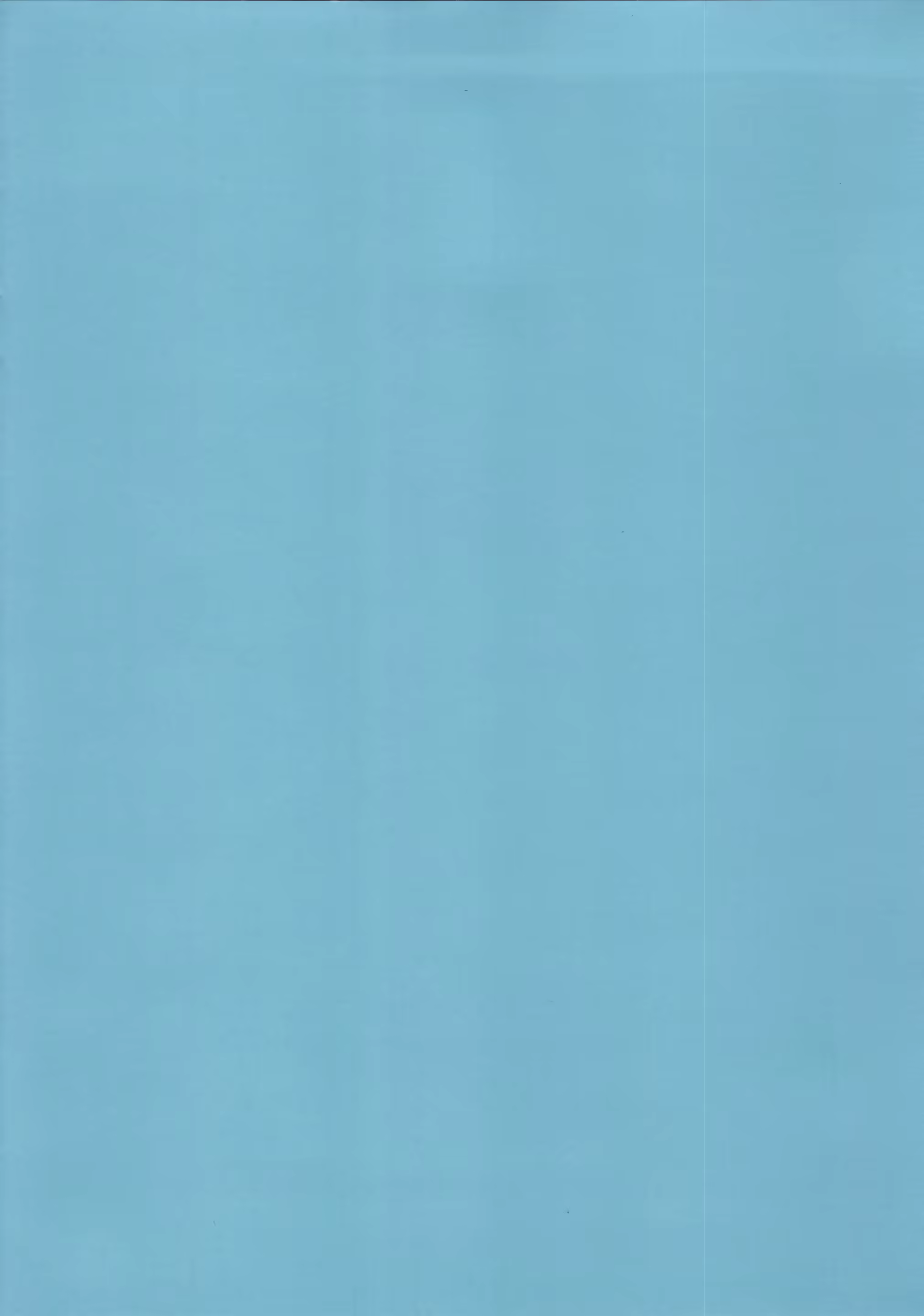 Content 1391245 - 4 페이지