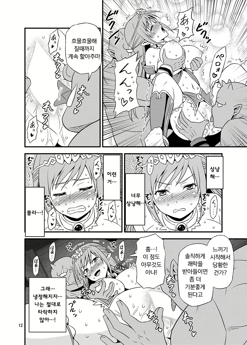 Content 1404412 - 11 페이지