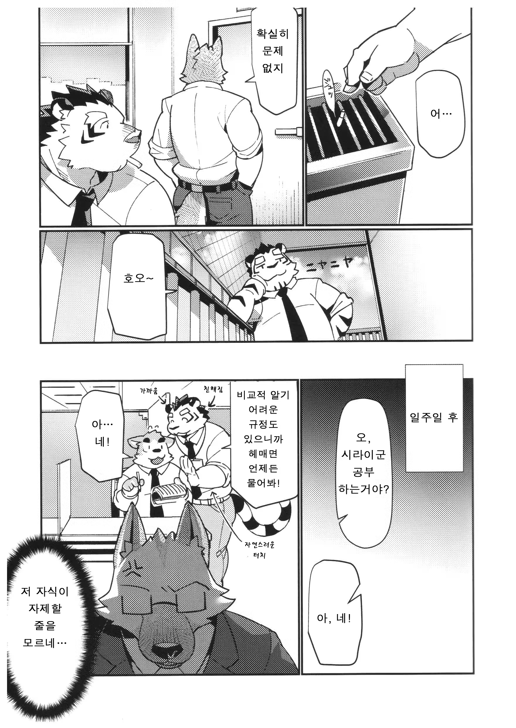 Content 1415246 - 12 페이지