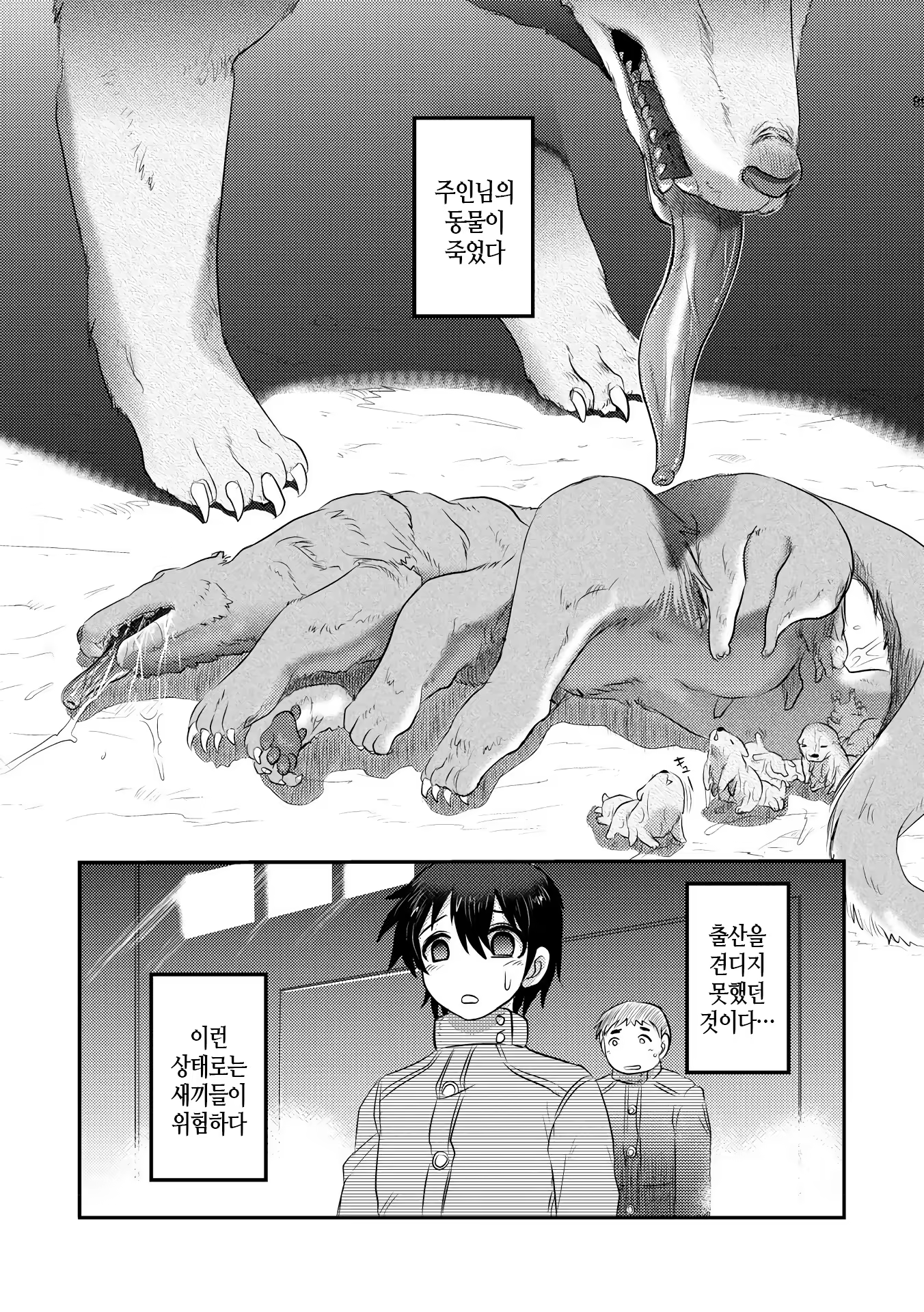 Content 1416848 - 135 페이지