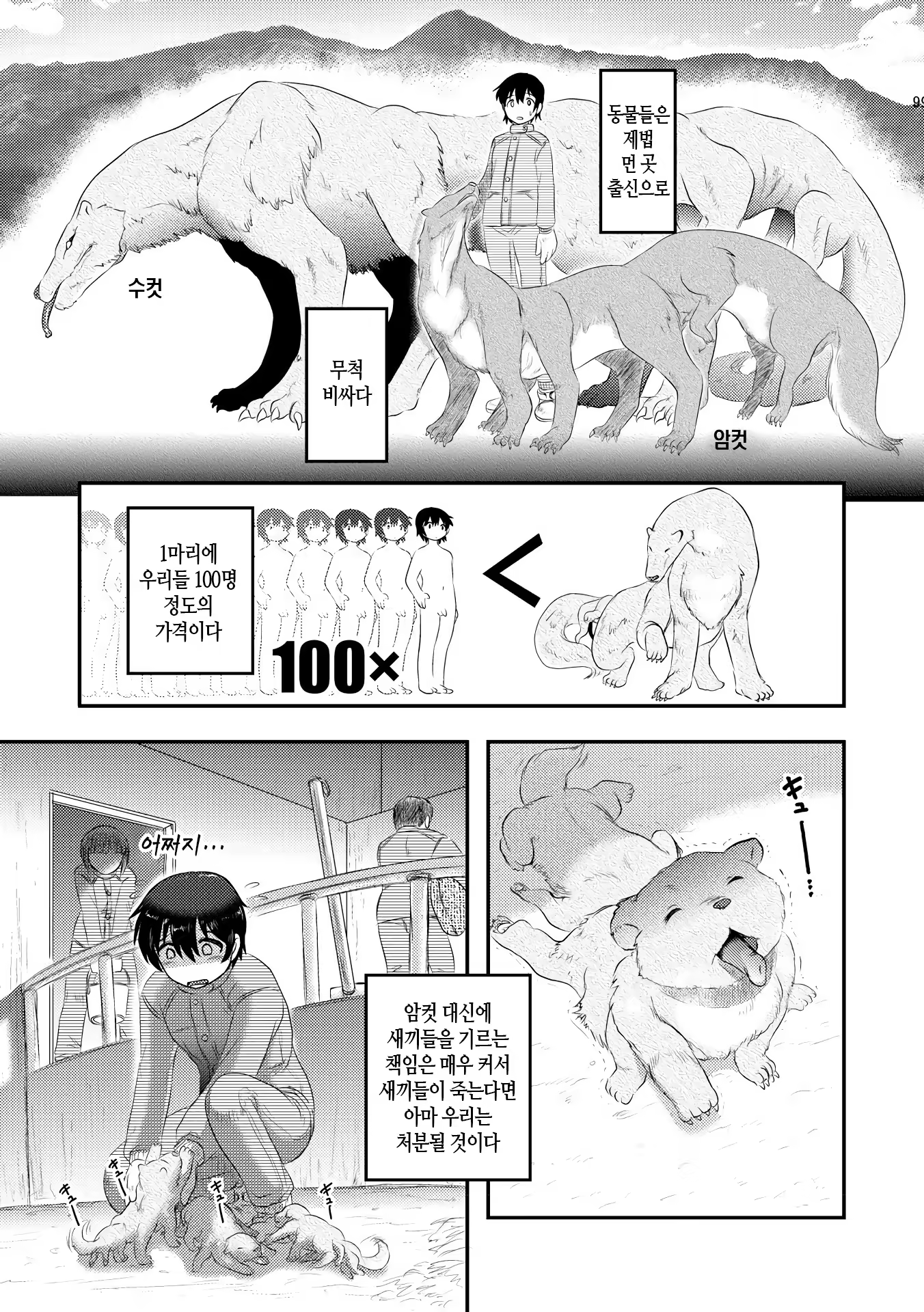 Content 1416848 - 137 페이지