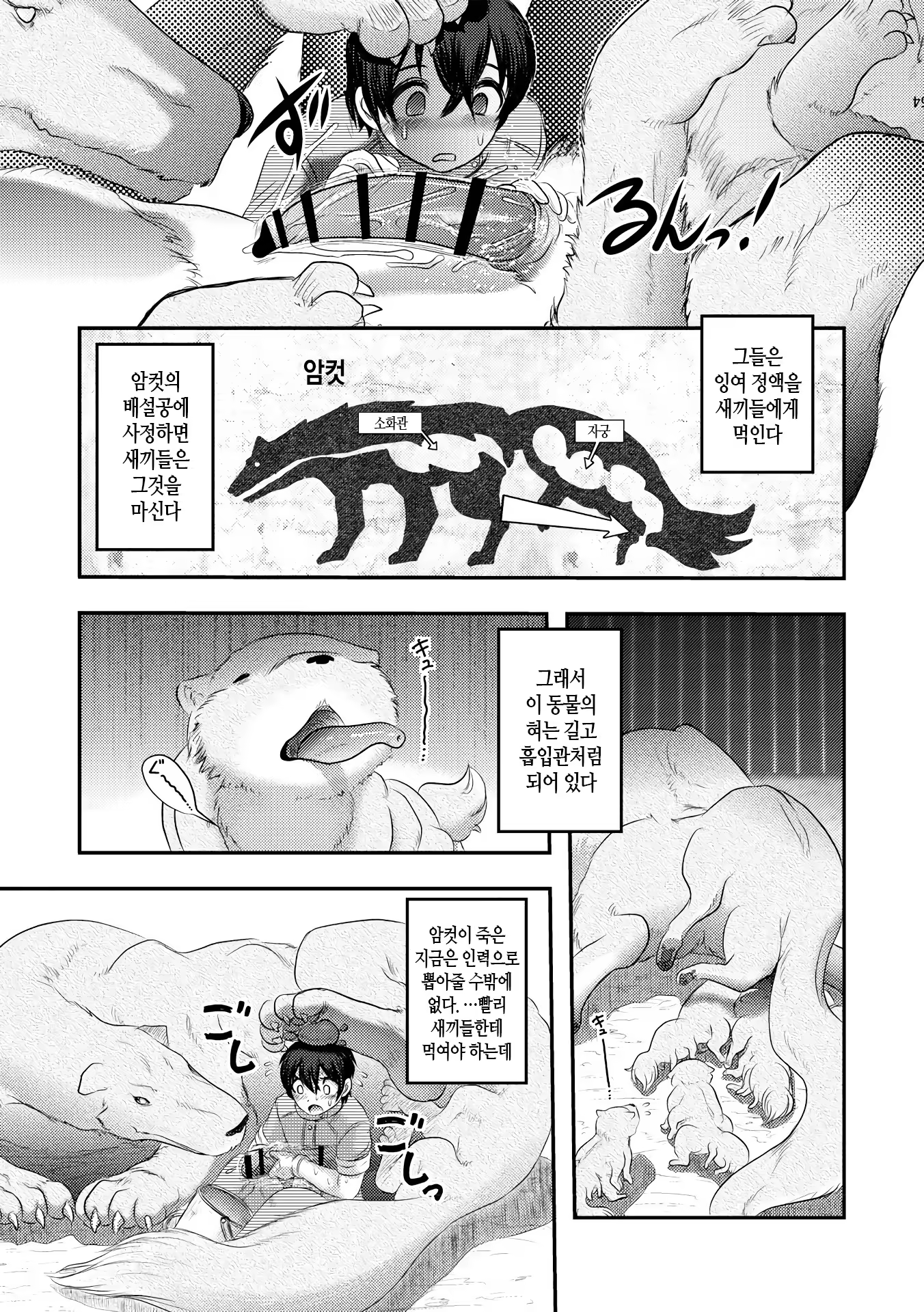 Content 1416848 - 139 페이지