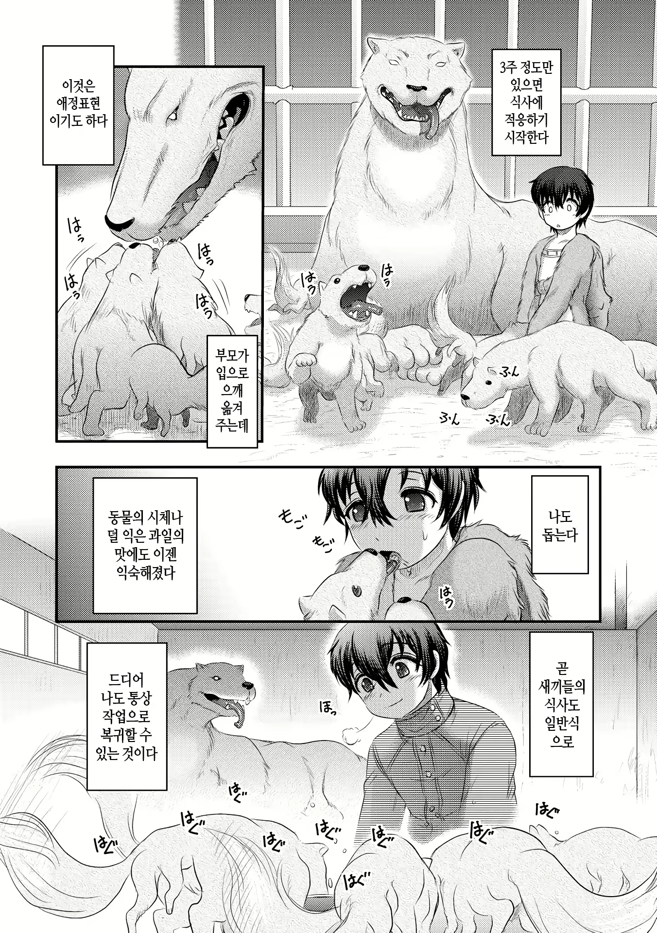 Content 1416848 - 152 페이지