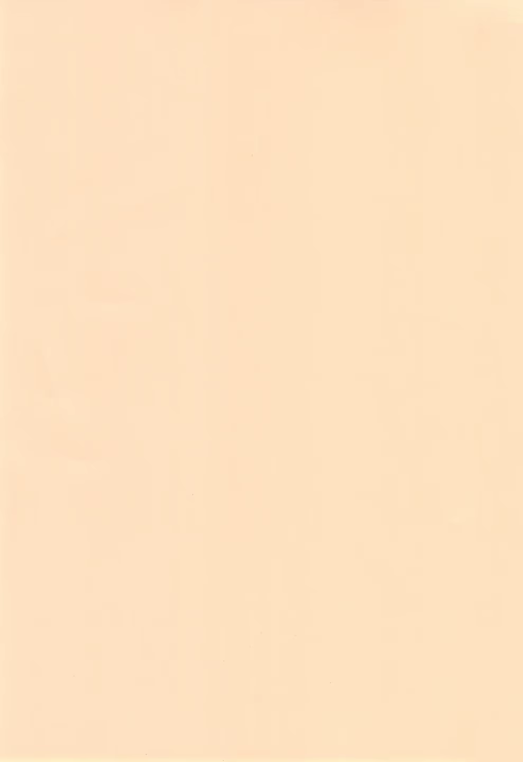 Content 1425164 - 4 페이지