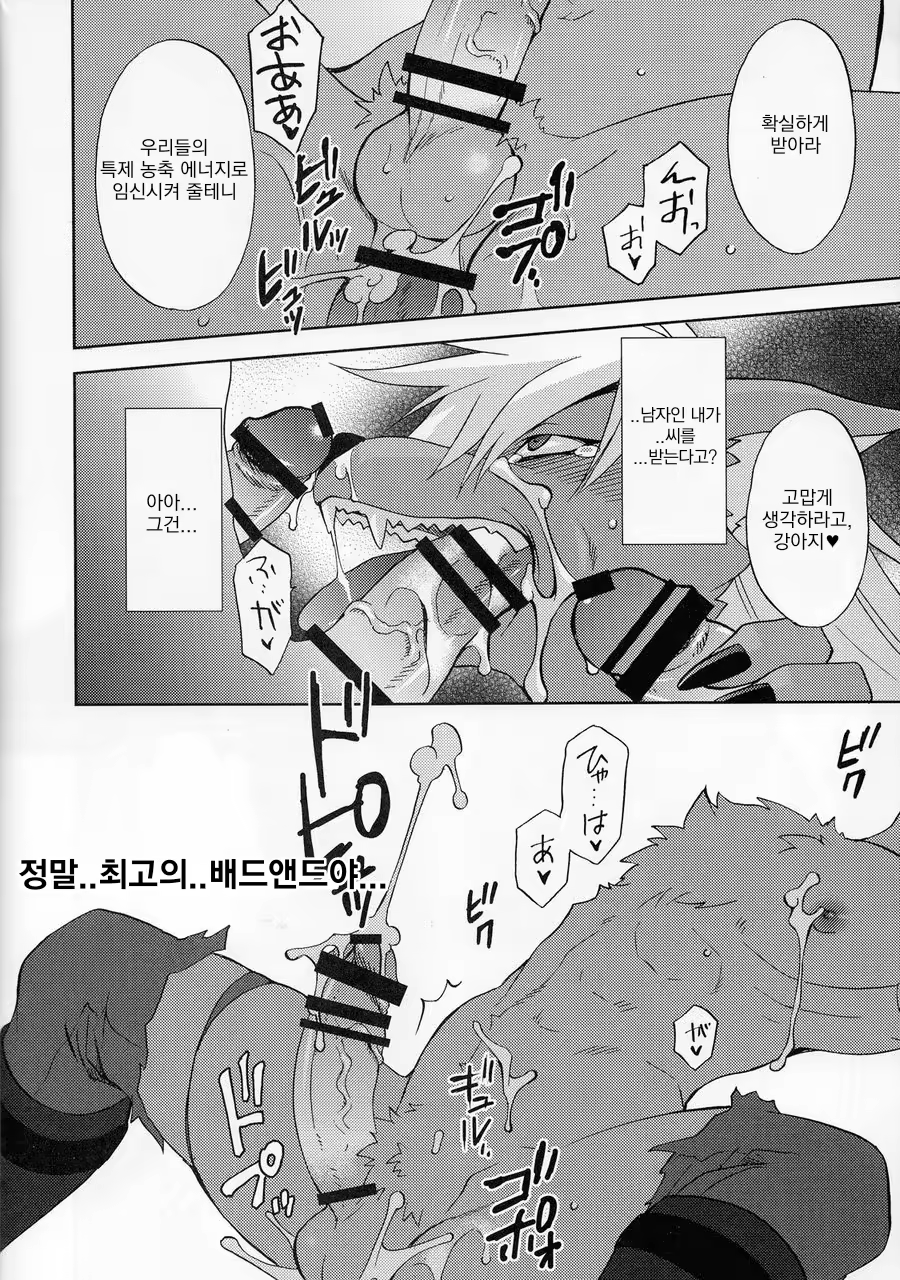 Content 1436815 - 17 페이지