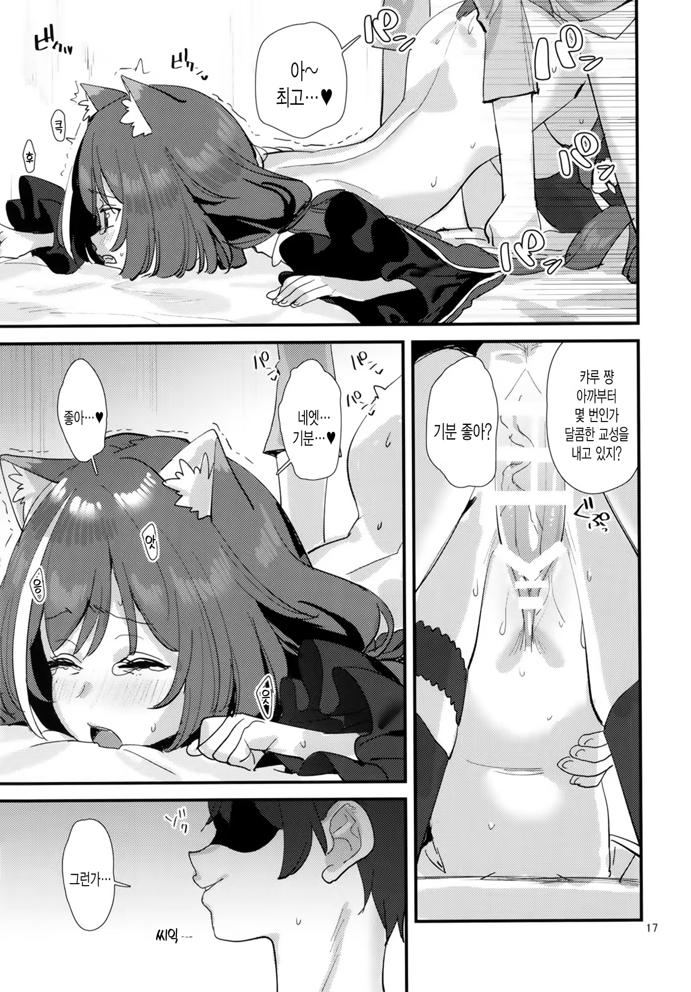 Content 1460988 - 17 페이지