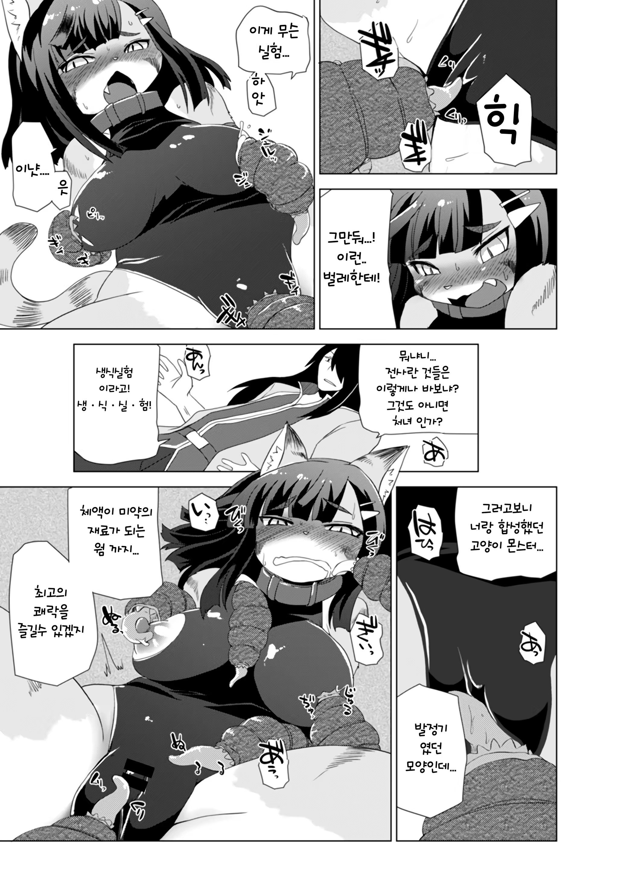 Content 1477353 - 13 페이지