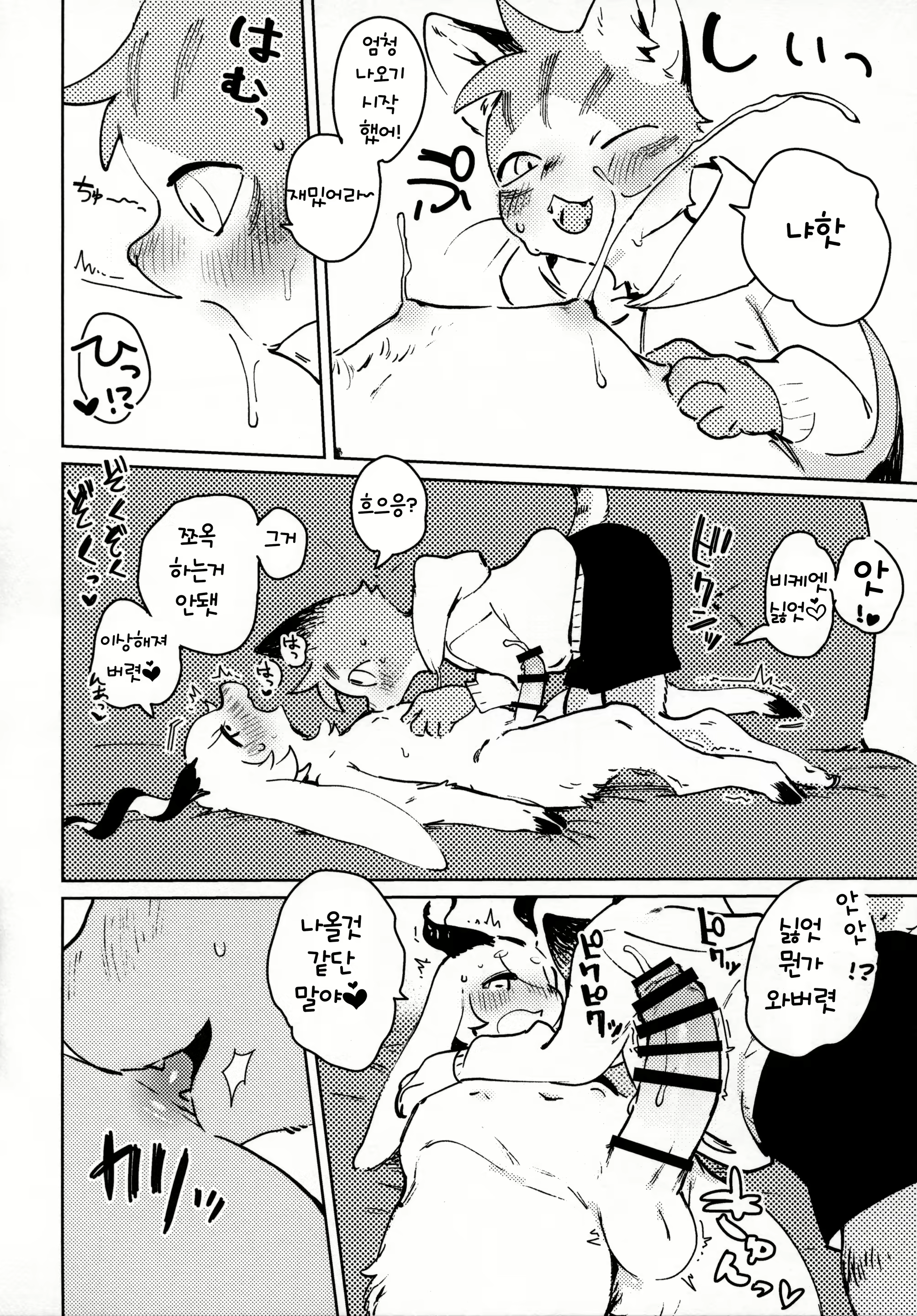 Content 1477711 - 21 페이지
