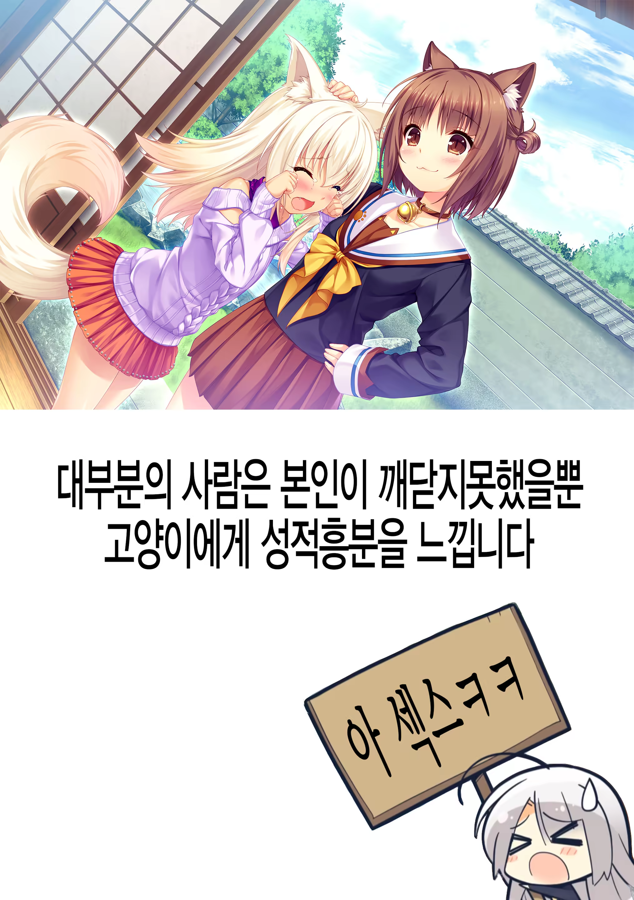 Content 1484134 - 19 페이지