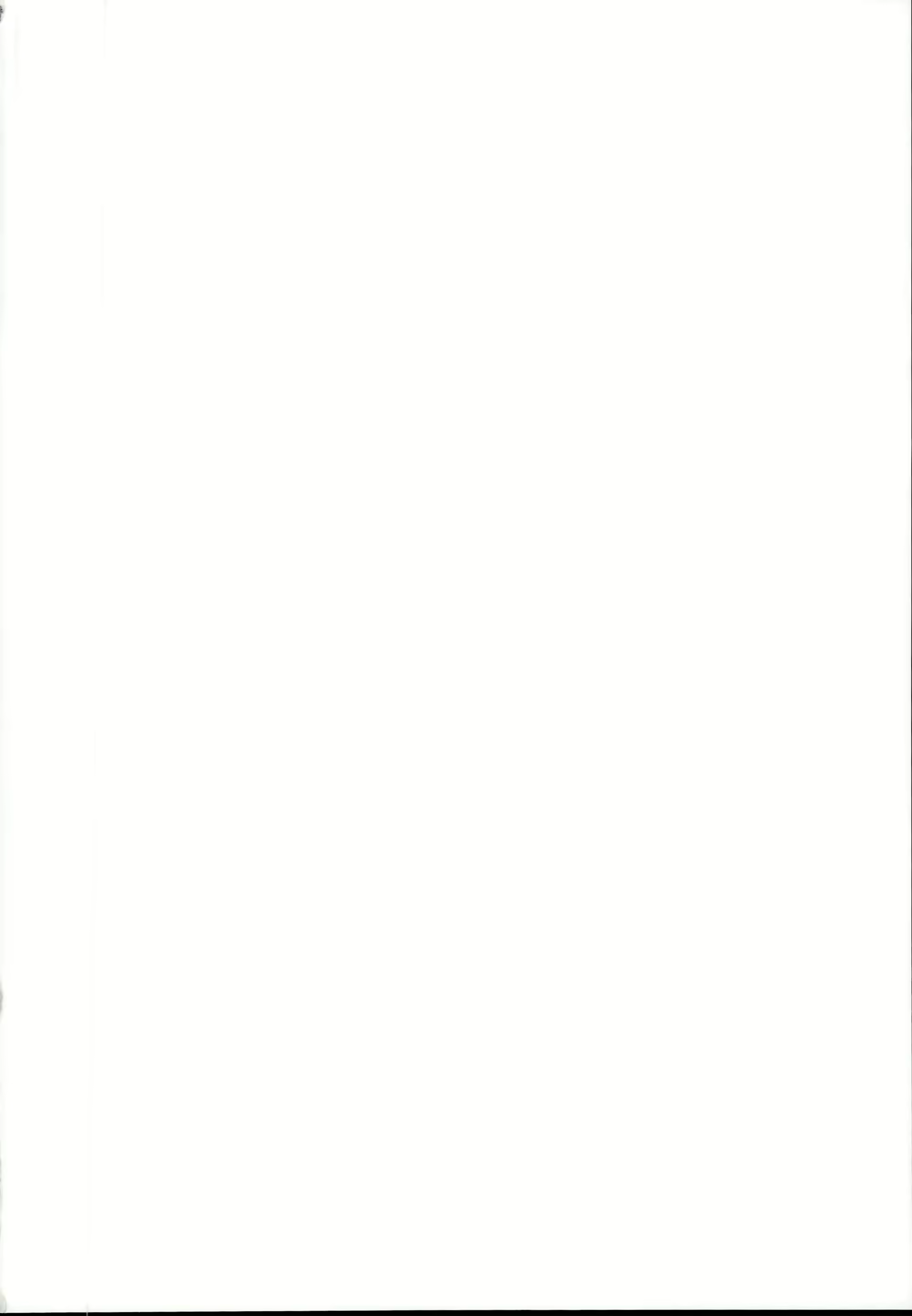 Content 1485540 - 2 페이지