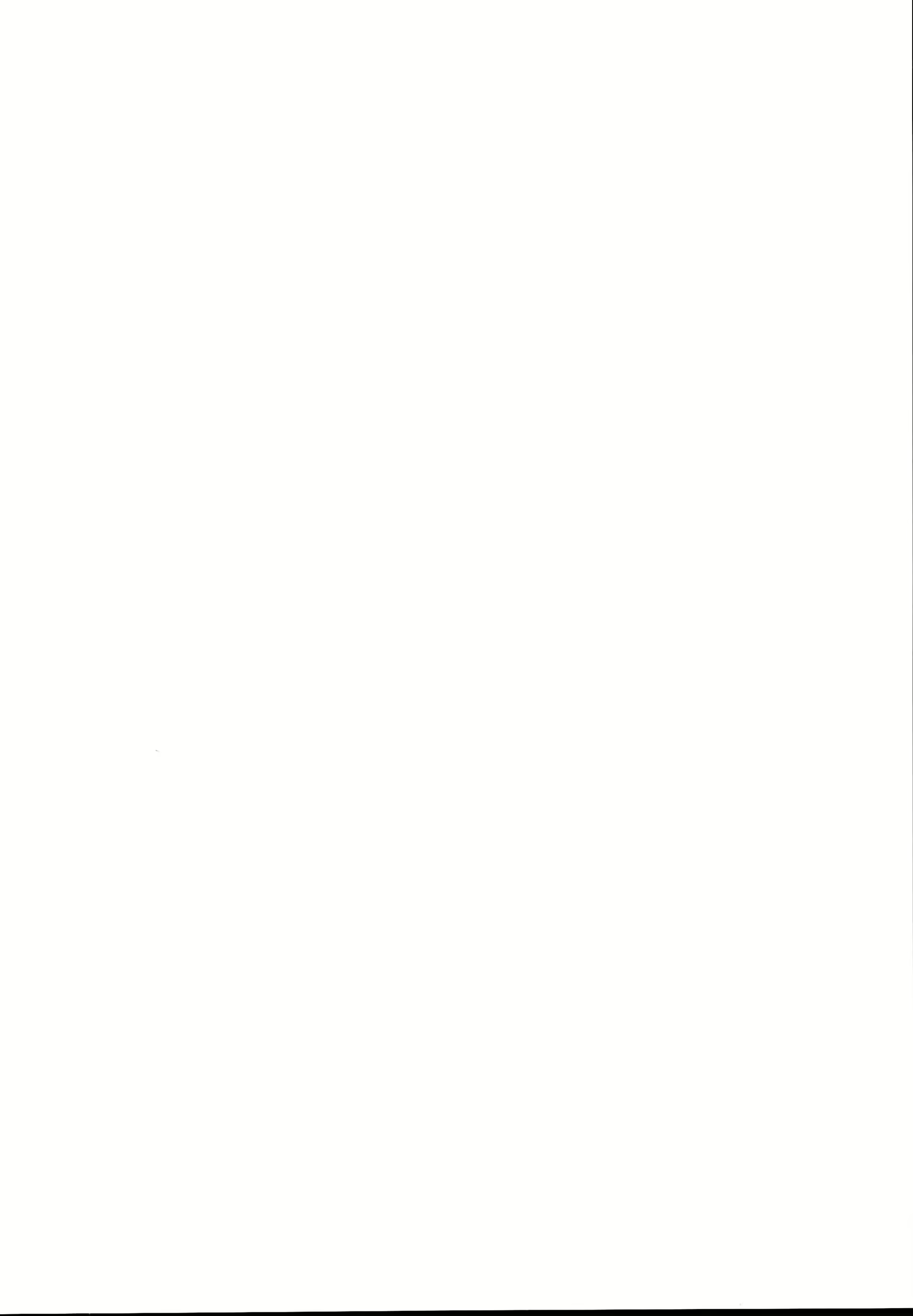 Content 1485540 - 4 페이지