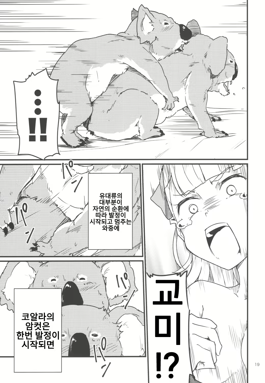 Content 1488422 - 18 페이지