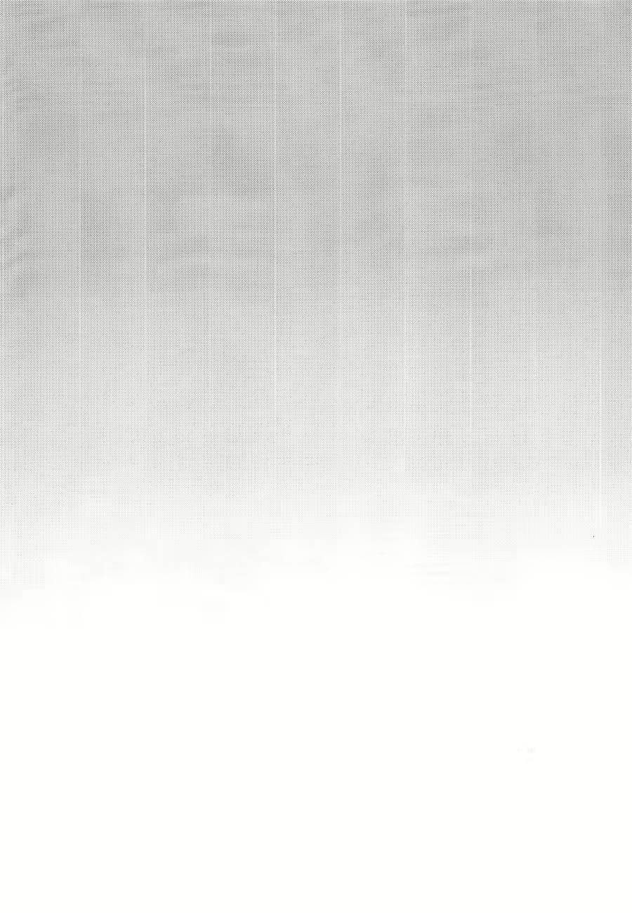 Content 1496204 - 4 페이지