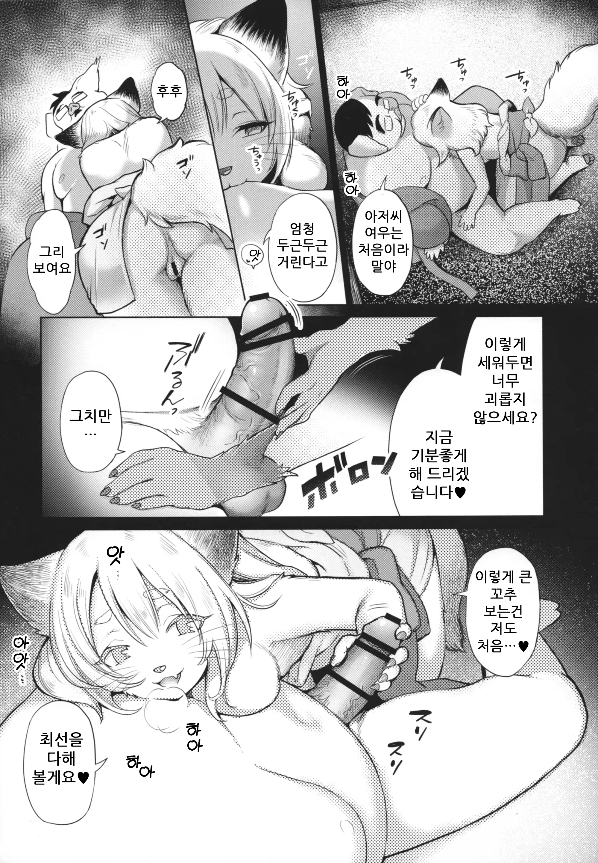 Content 1510788 - 12 페이지