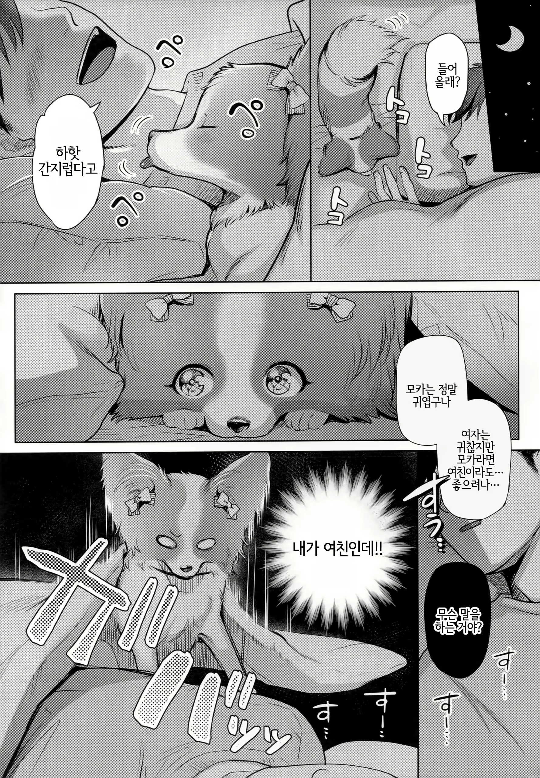 Content 1516481 - 4 페이지