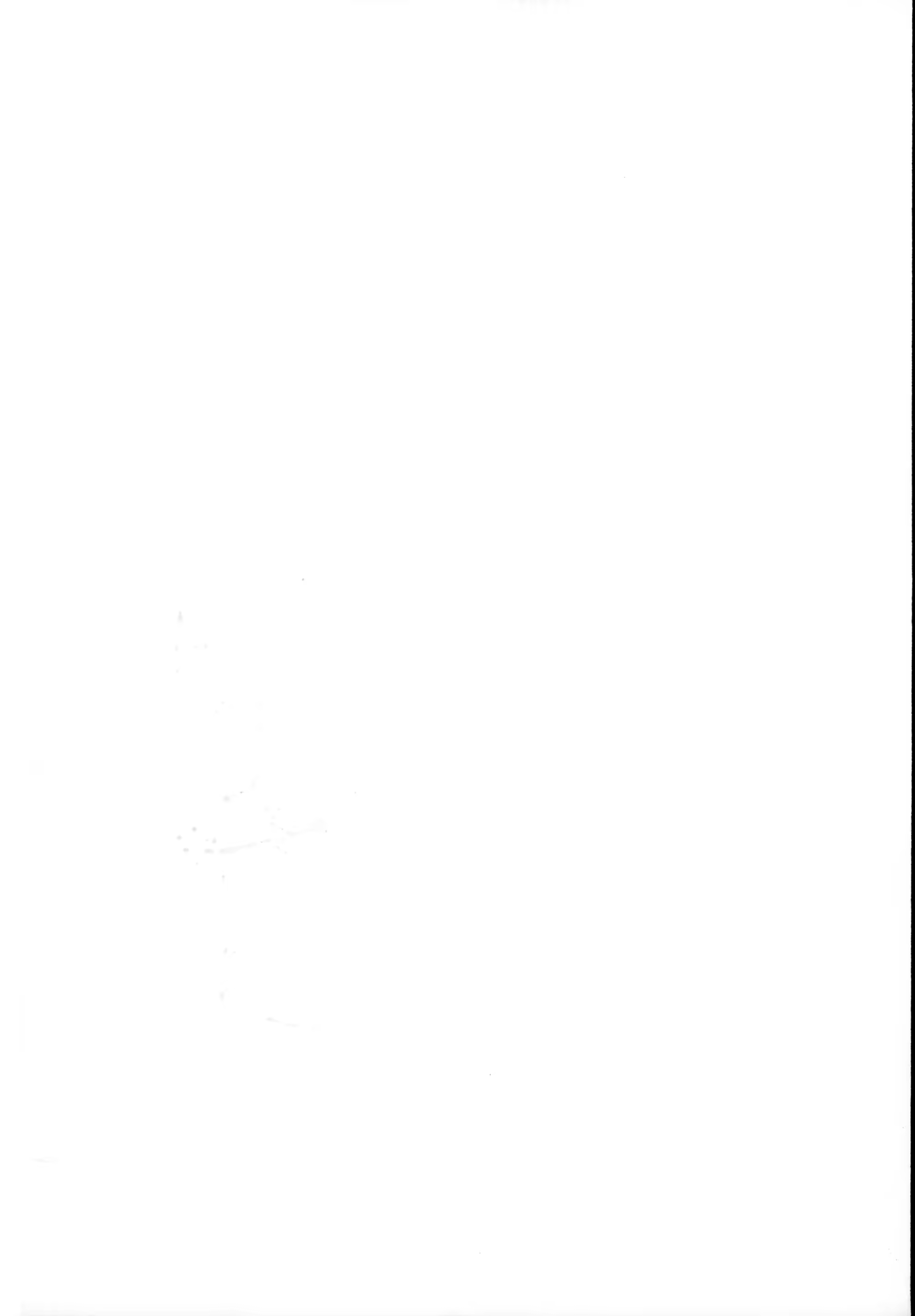 Content 1517000 - 4 페이지