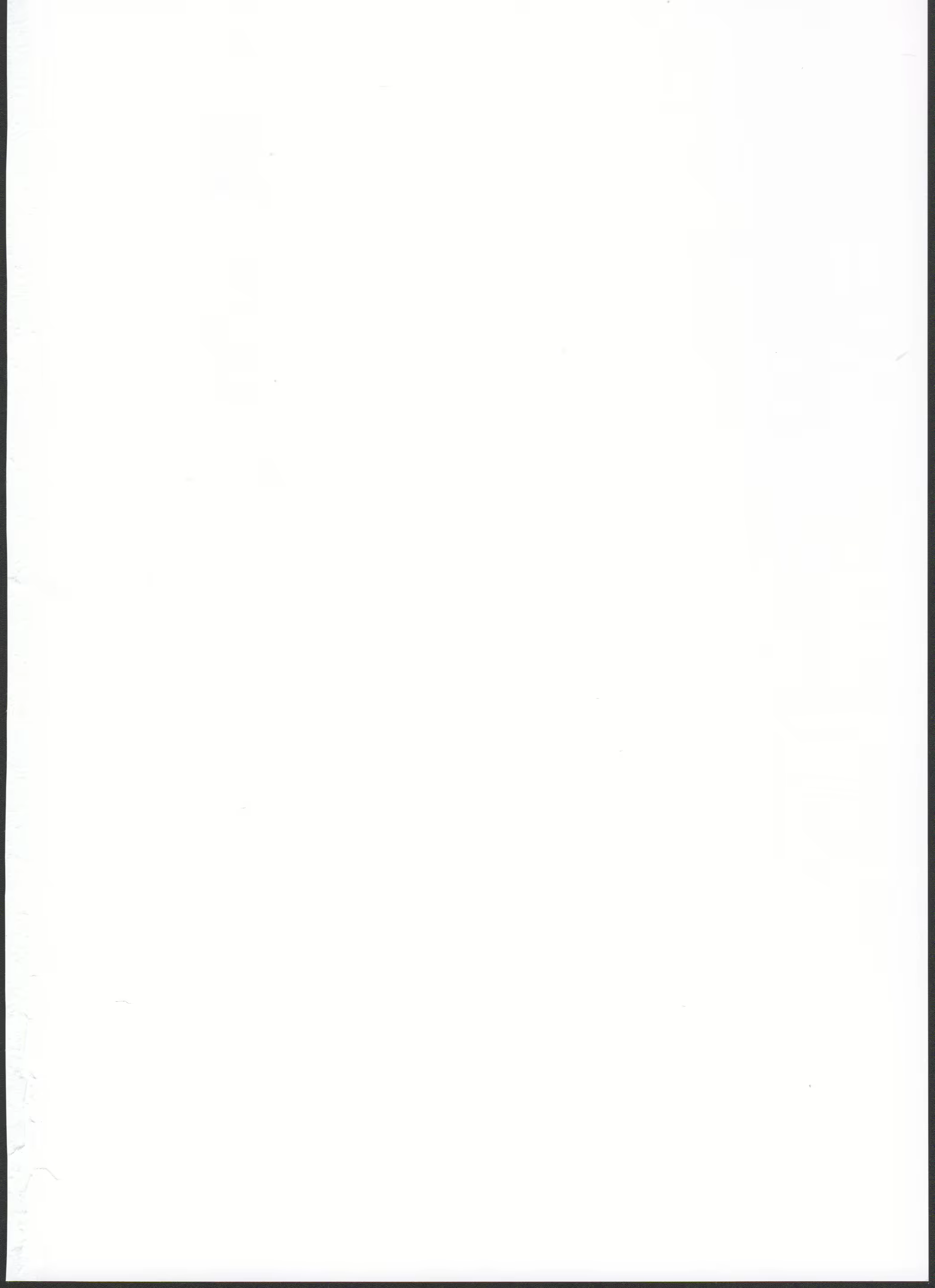 Content 1517991 - 2 페이지
