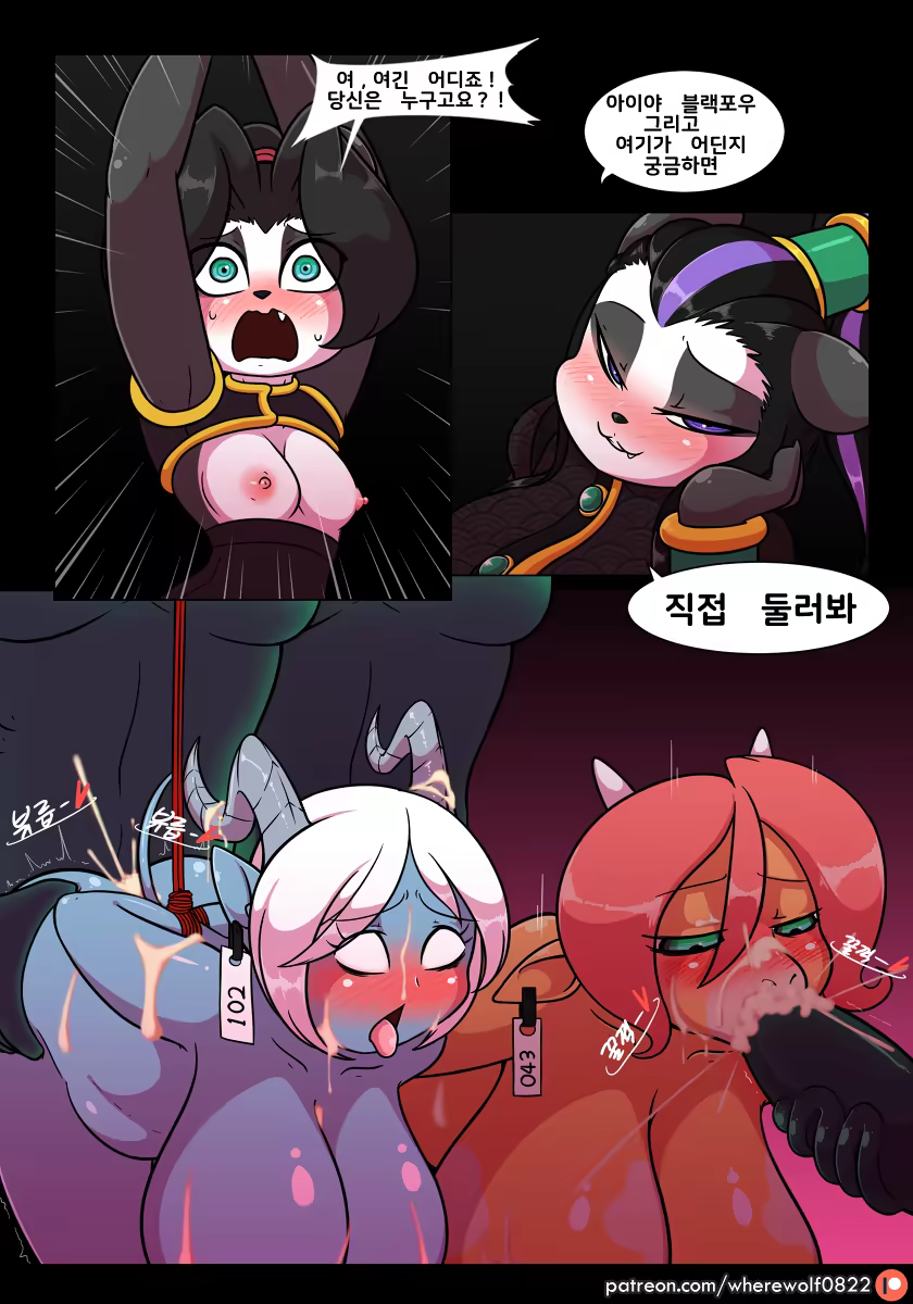 Content 1518098 - 14 페이지