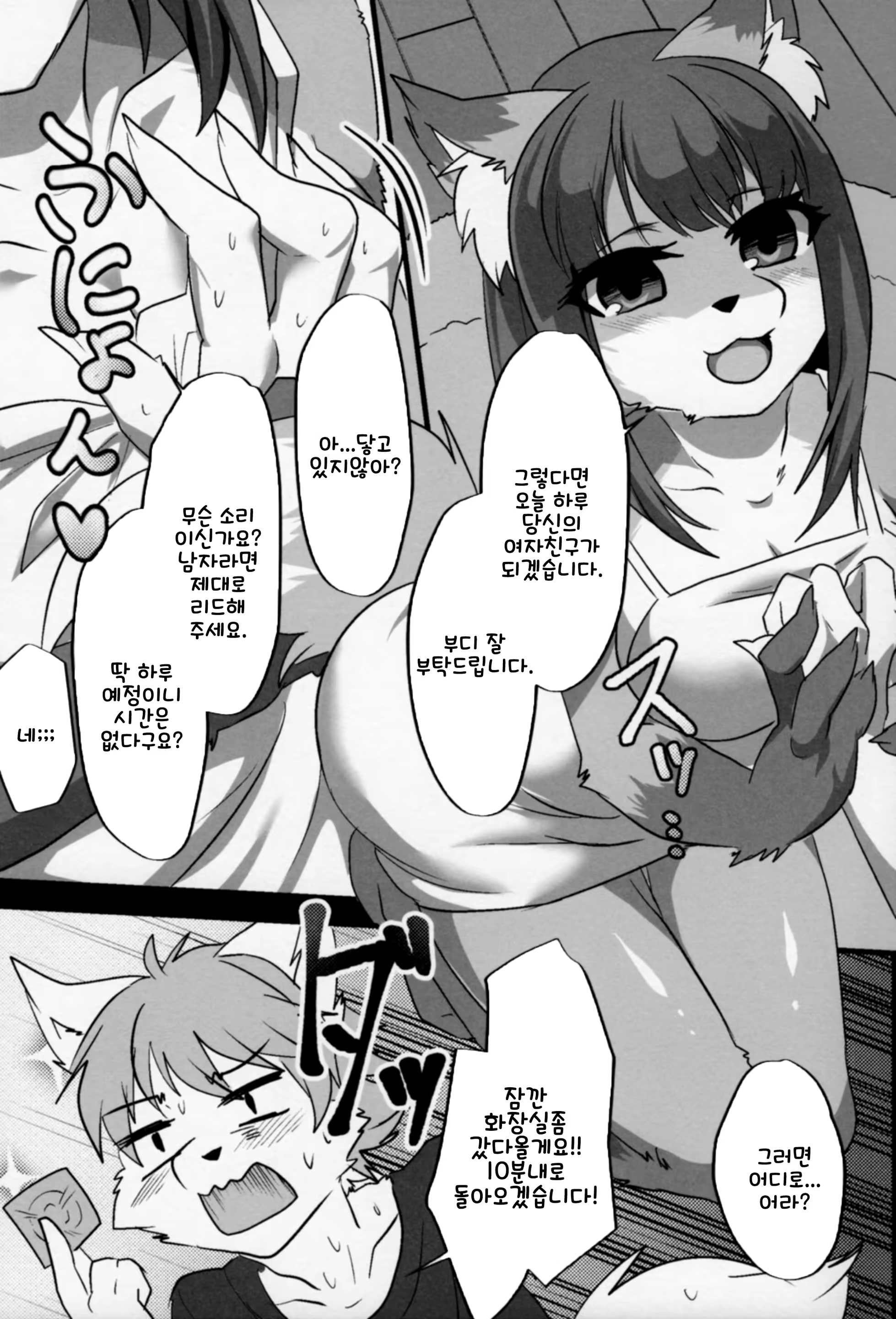 Content 1519181 - 15 페이지