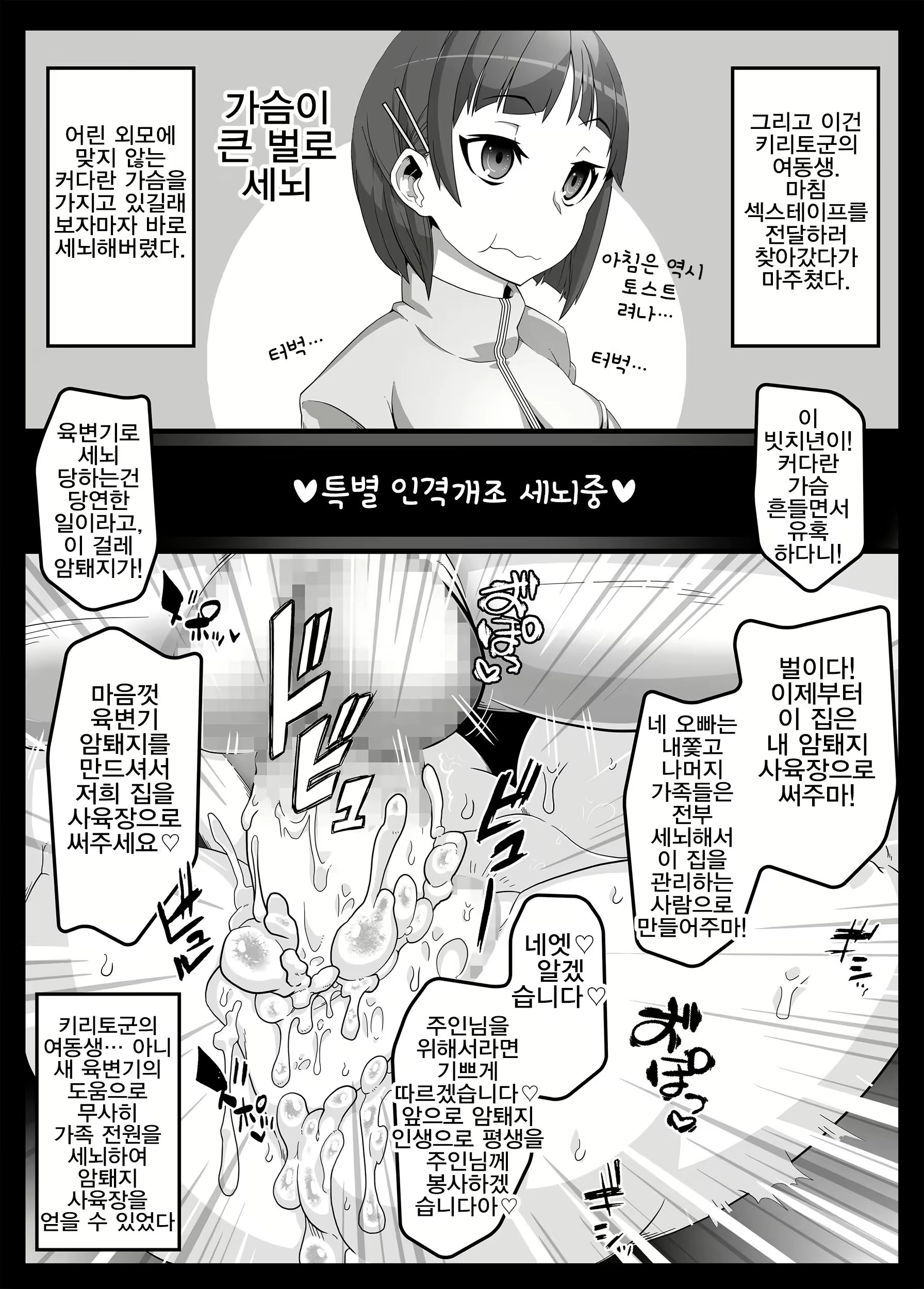 Content 1522979 - 15 페이지