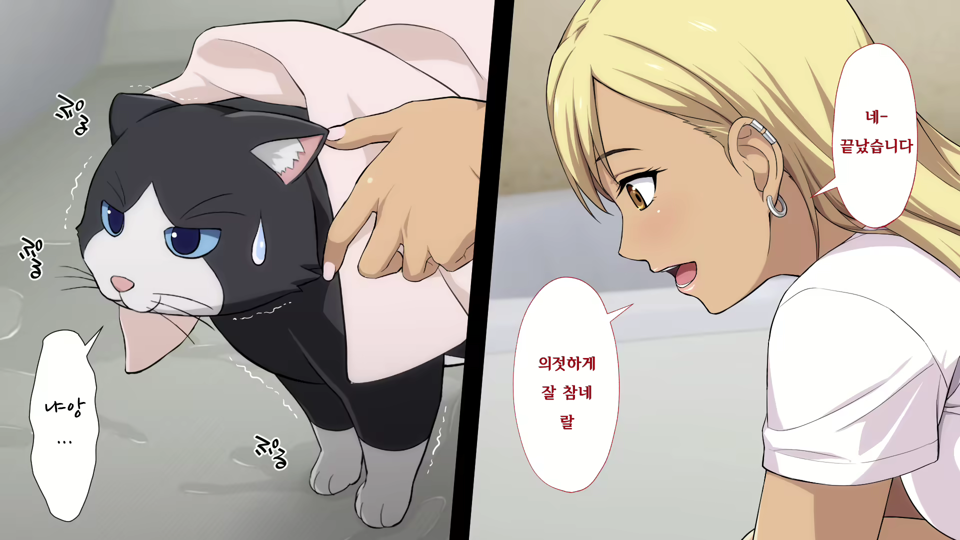 Content 1523563 - 261 페이지