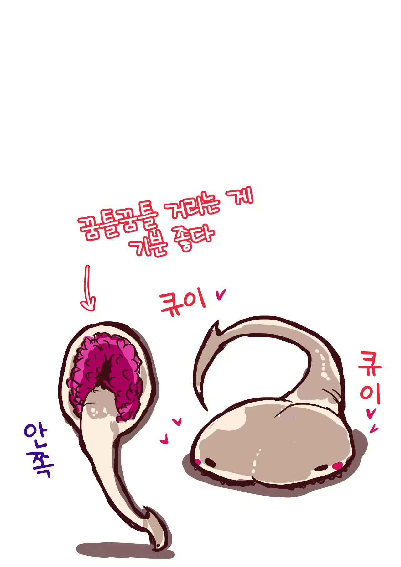 Content 1524586 - 3 페이지