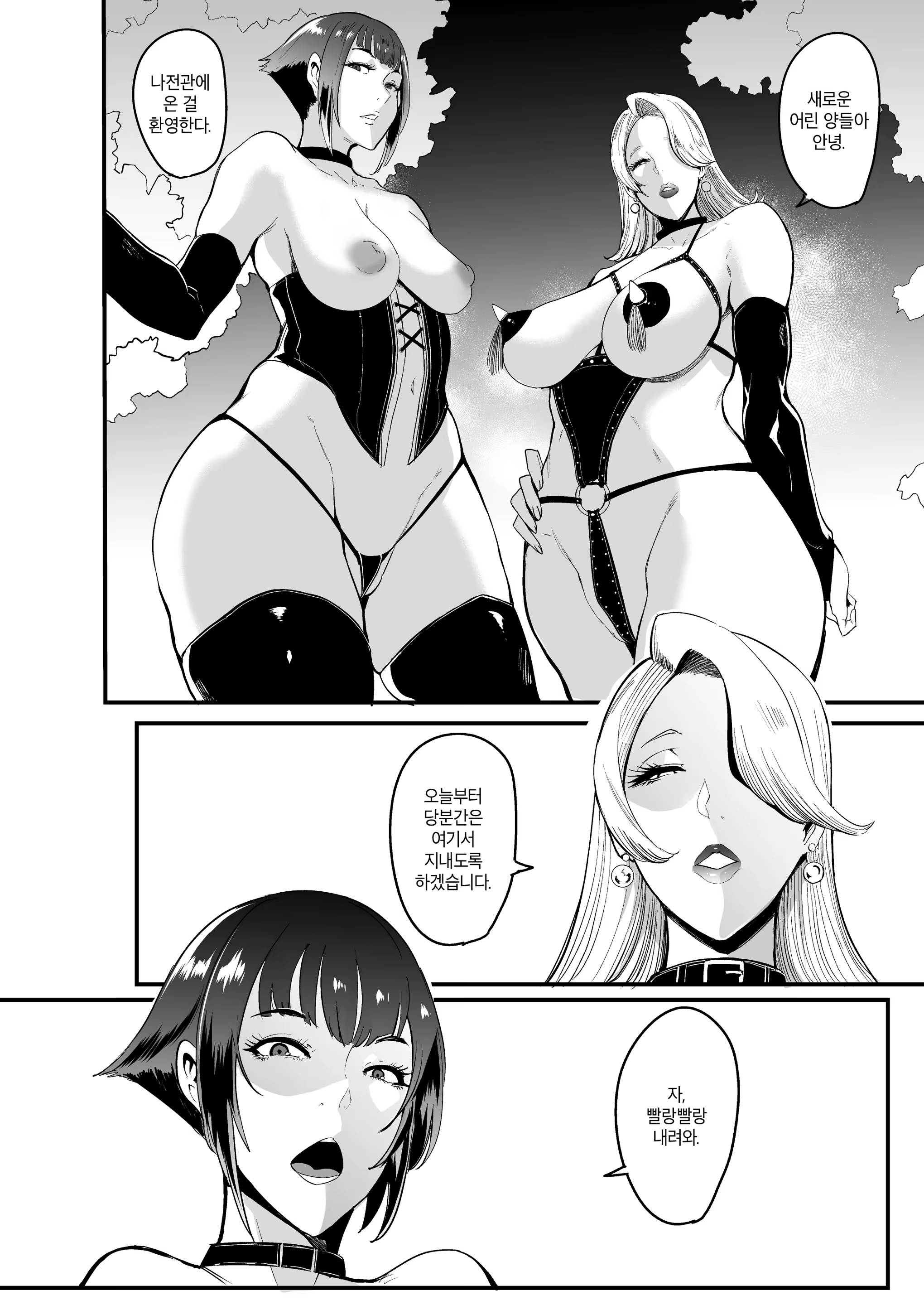 Content 1528256 - 5 페이지