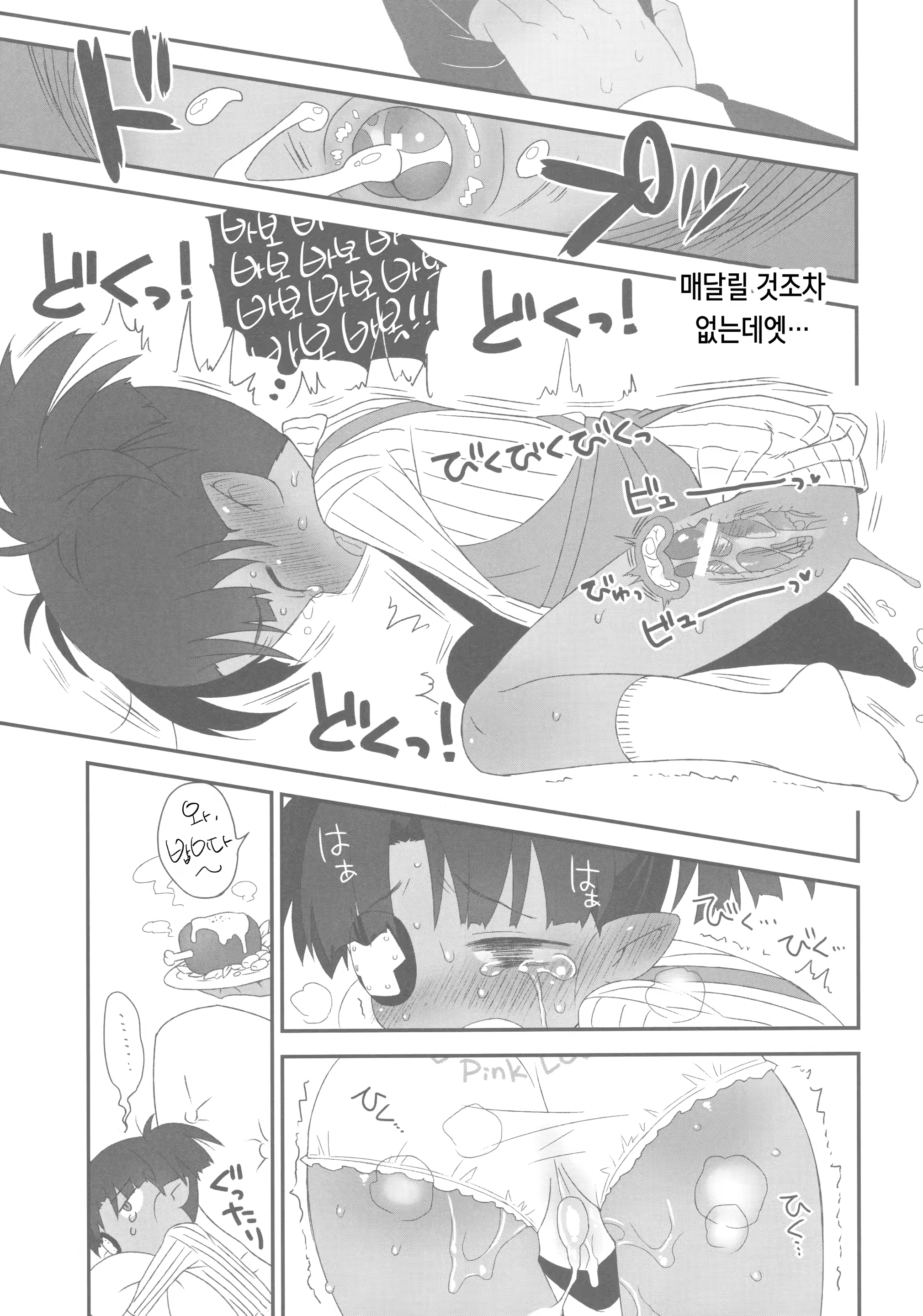 Content 1529059 - 16 페이지