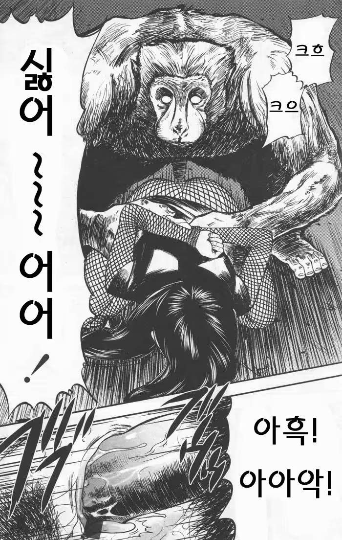 Content 1531189 - 14 페이지
