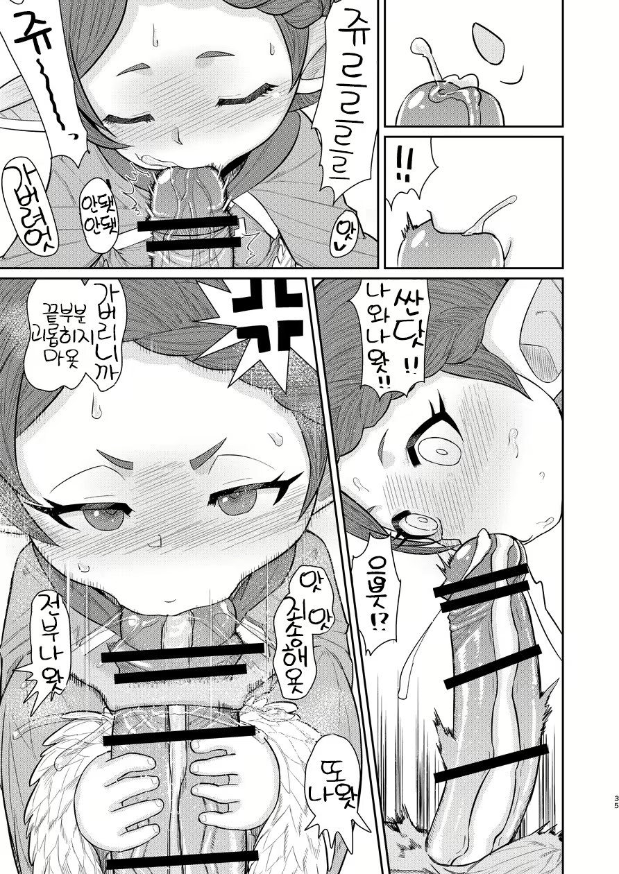 Content 1535357 - 34 페이지