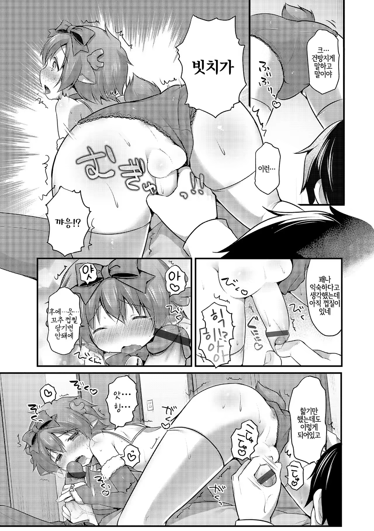 Content 1540455 - 5 페이지