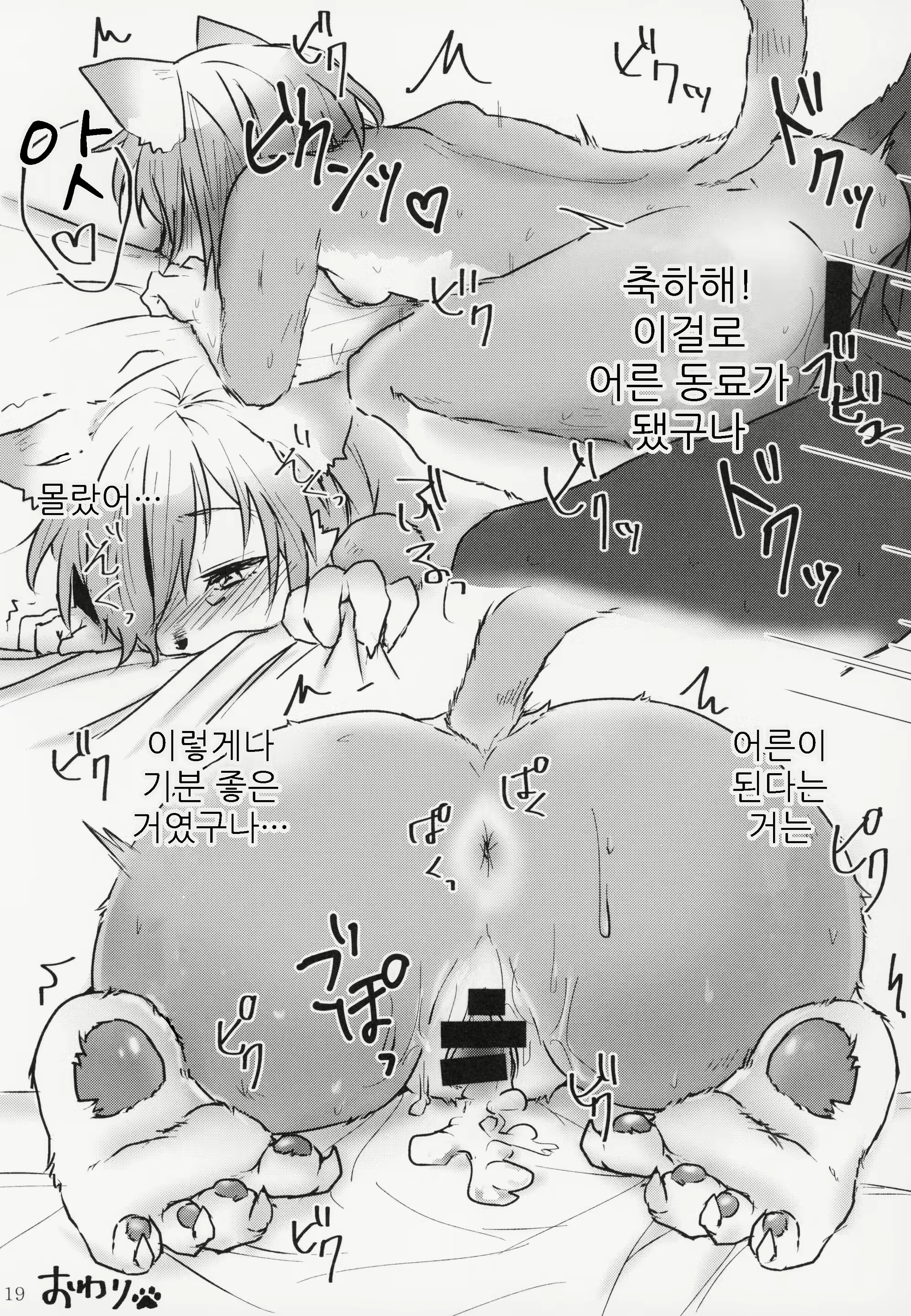 Content 1563459 - 19 페이지
