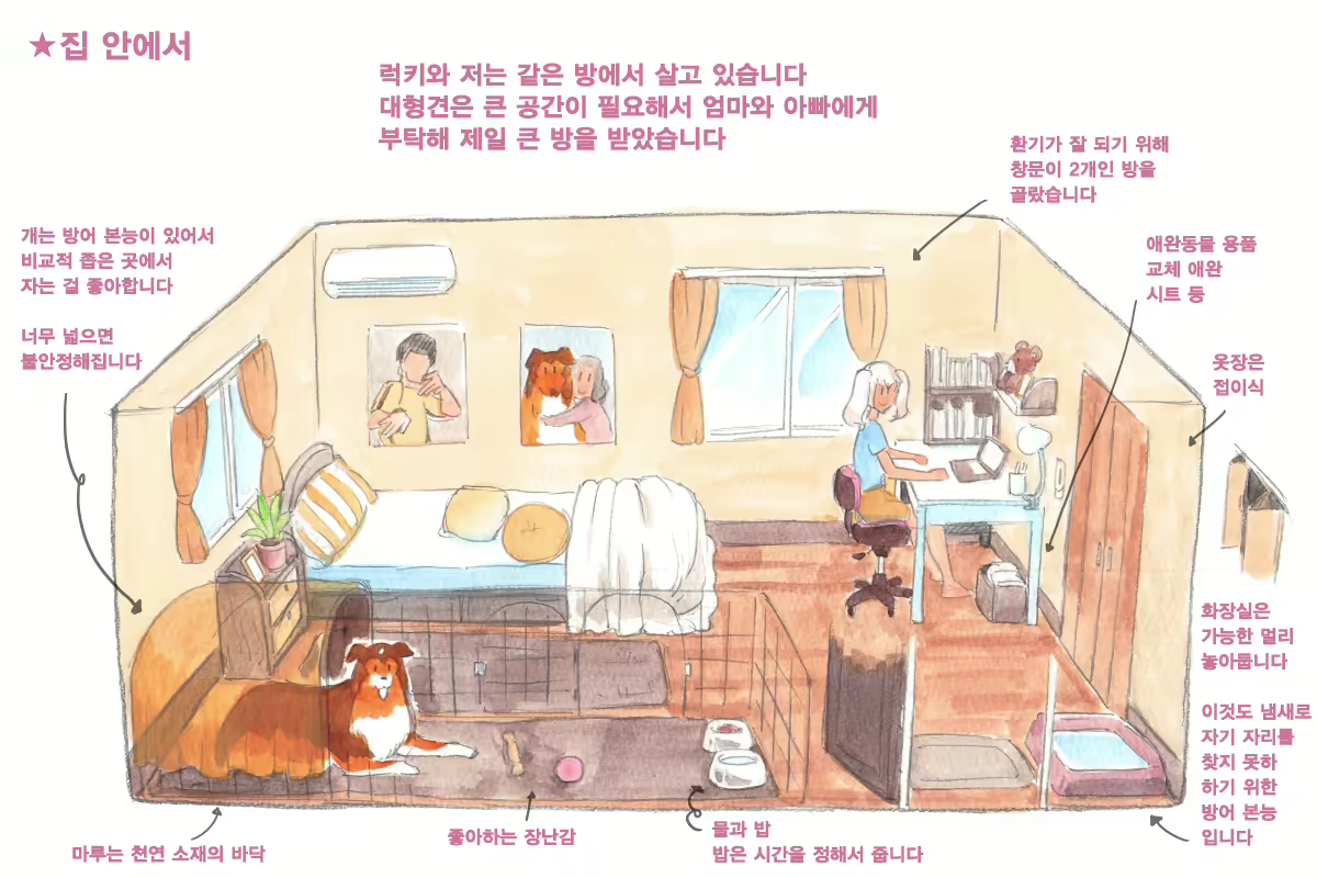 Content 1564123 - 10 페이지