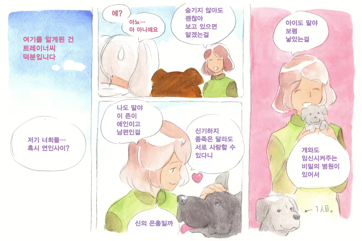 Content 1564123 - 100 페이지
