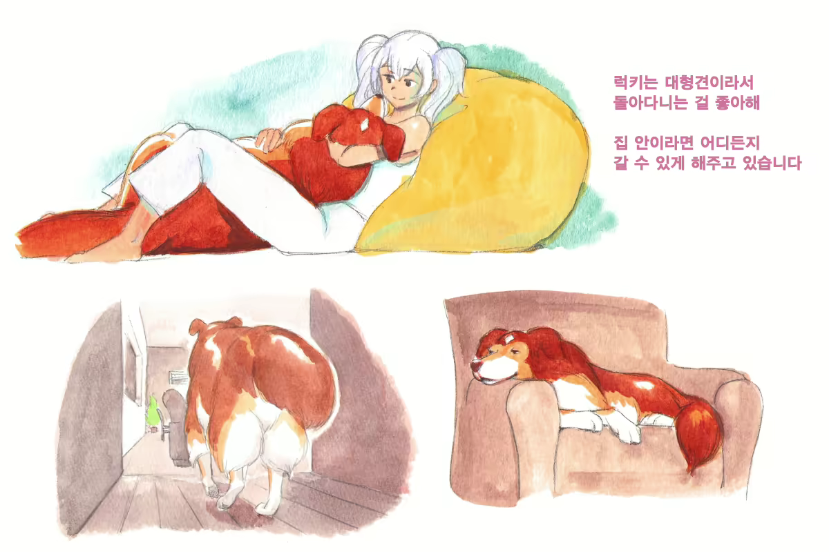 Content 1564123 - 11 페이지
