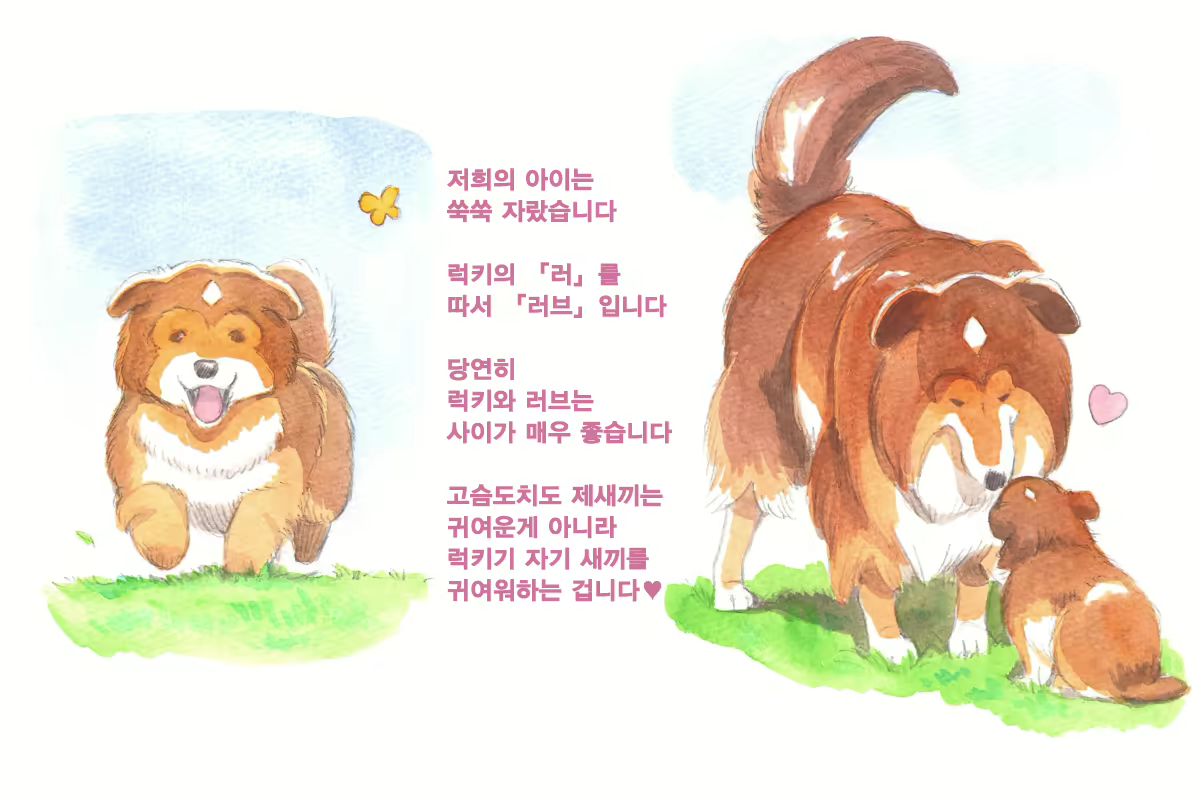 Content 1564123 - 117 페이지