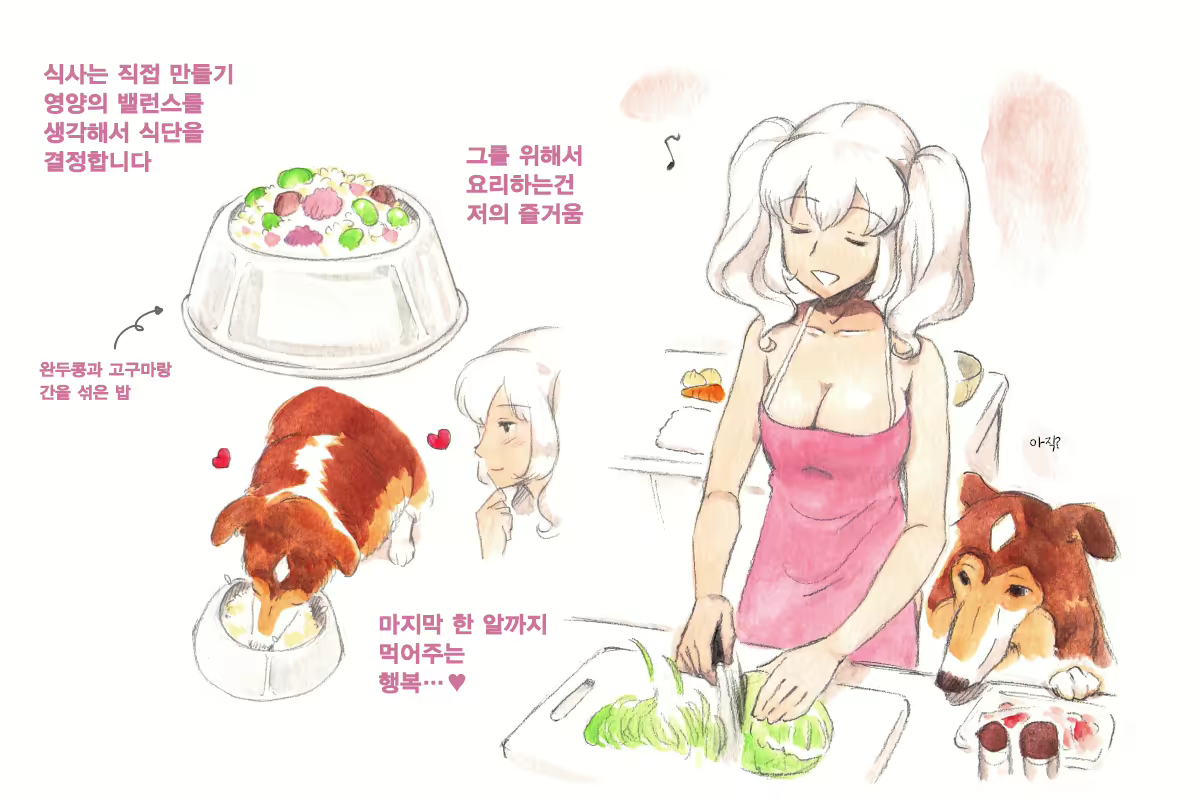 Content 1564123 - 13 페이지