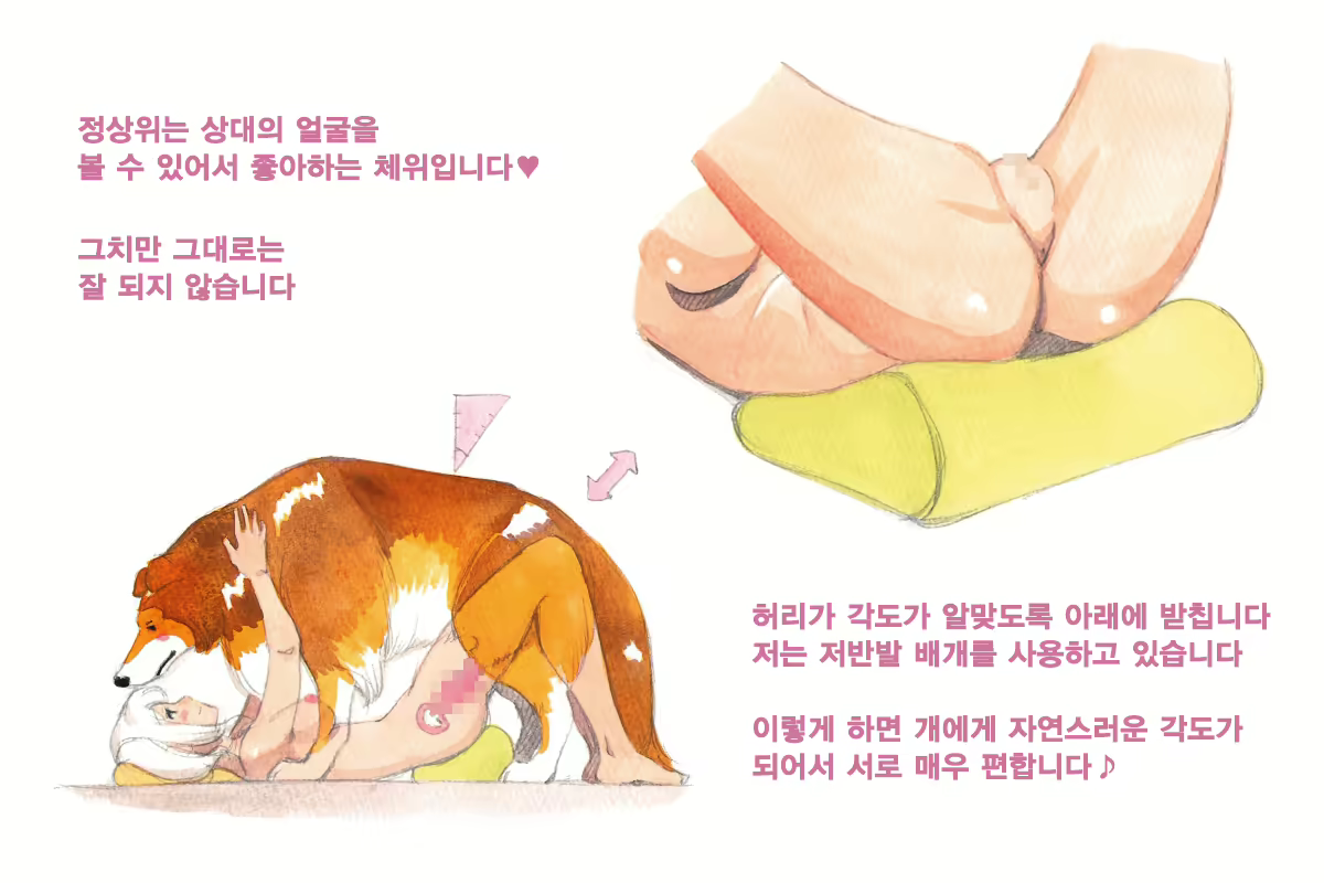 Content 1564123 - 23 페이지