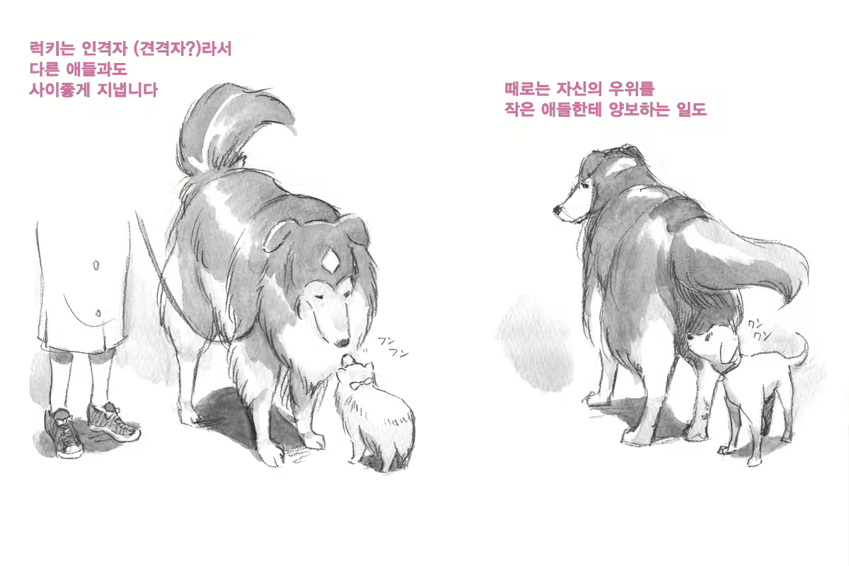 Content 1564123 - 31 페이지